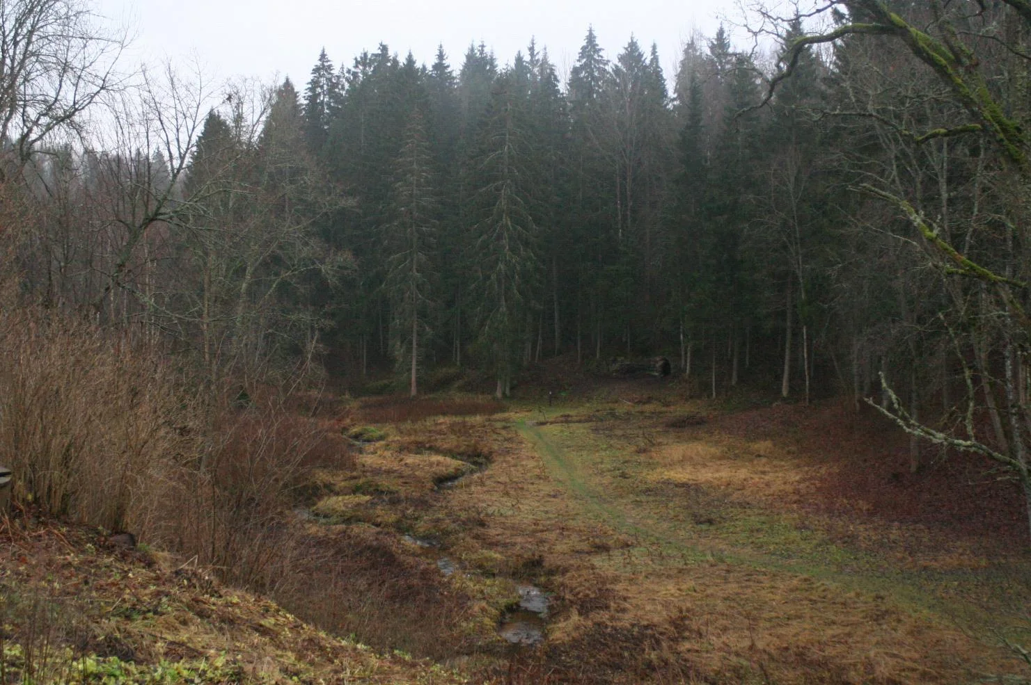 19.jpg