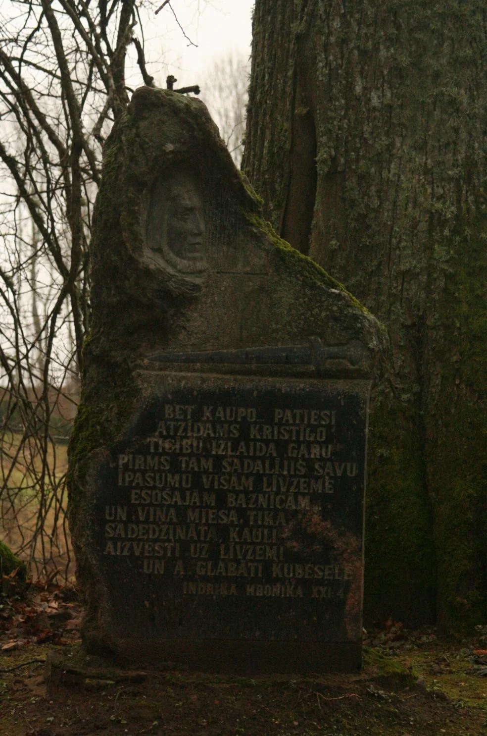 20.jpg