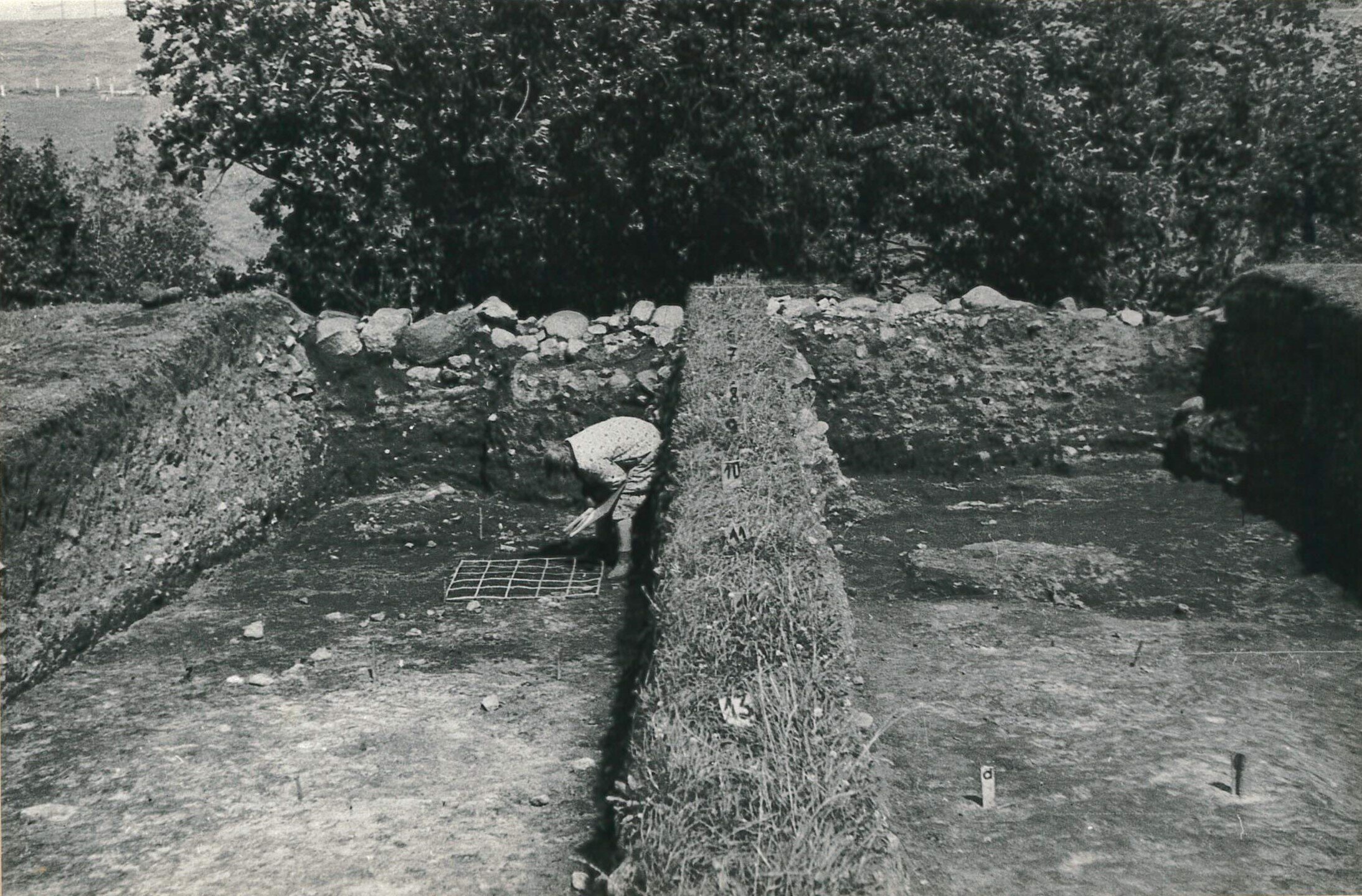 L. Vankina zīmē VII laukuma 9. kārtu. Aizkraukles pilskalns. Foto 1974. g. 