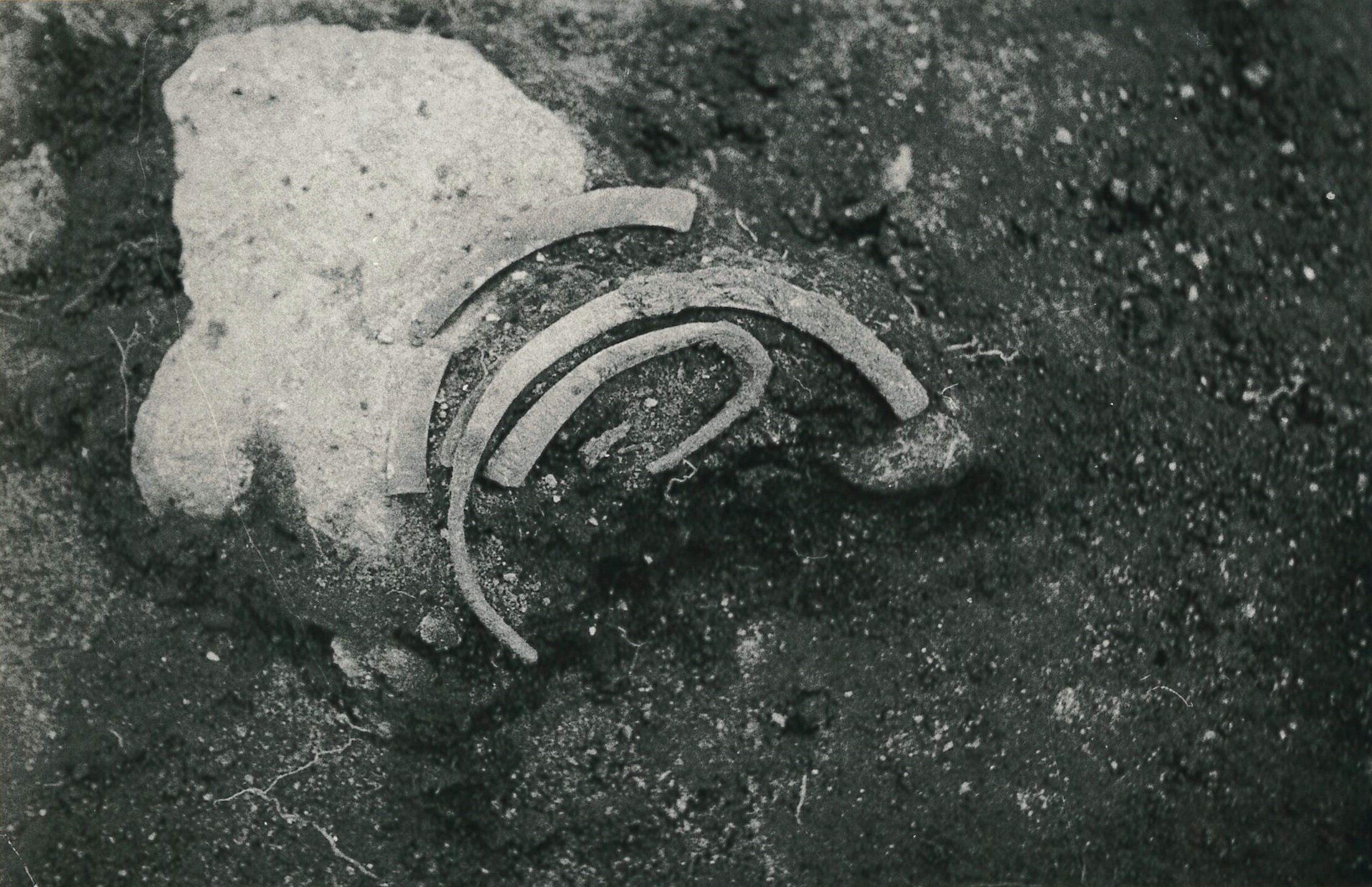 Bronzas kaklariņķis in situ. Aizkraukles pilskalns, XII laukums. Foto 1976. g. 