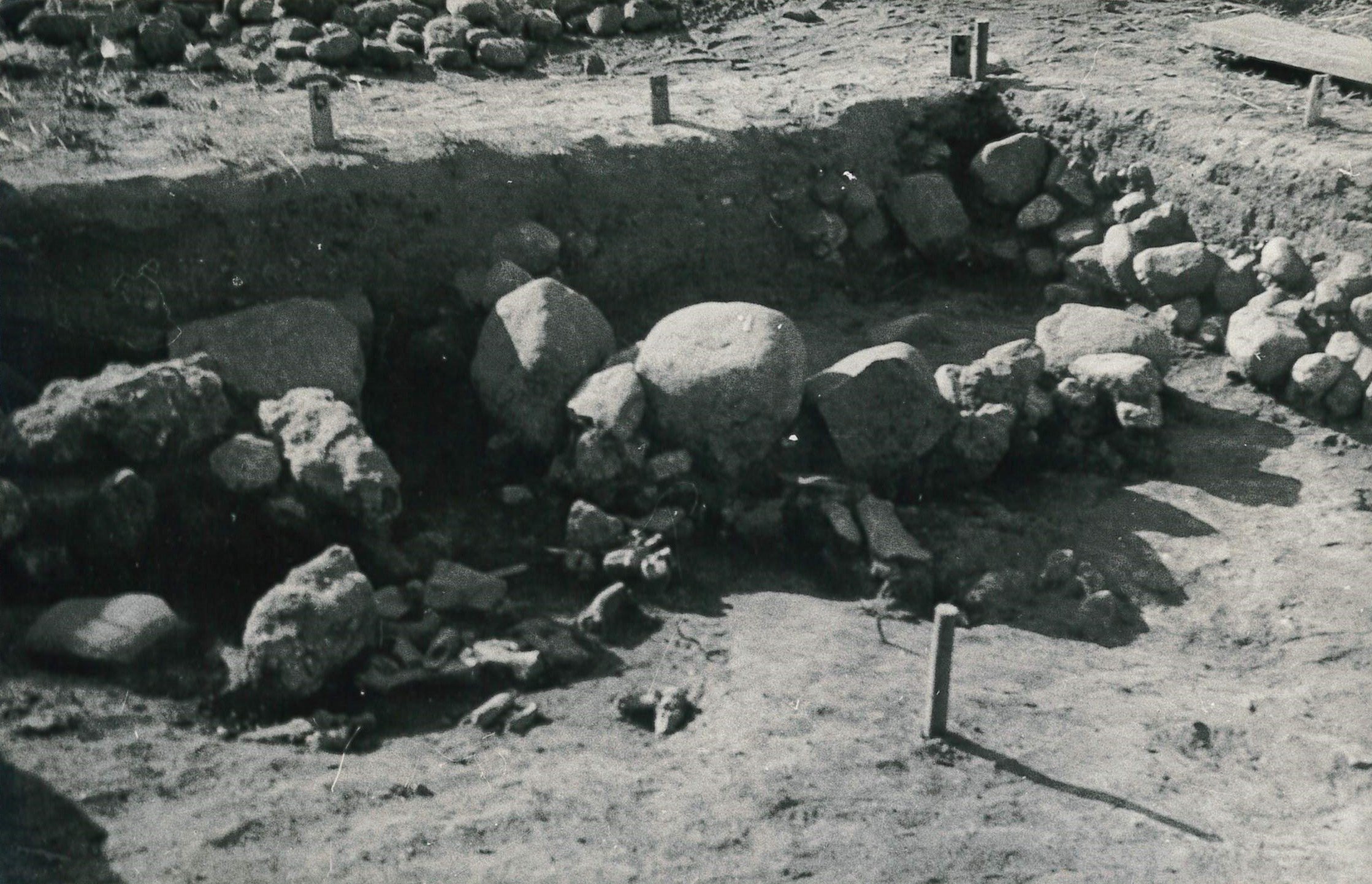 Dzīvnieku kaulu ziedojumiem zem 7. krāsns akmeņiem. Aizkraukles priekšpils, III laukuma 1. kārta