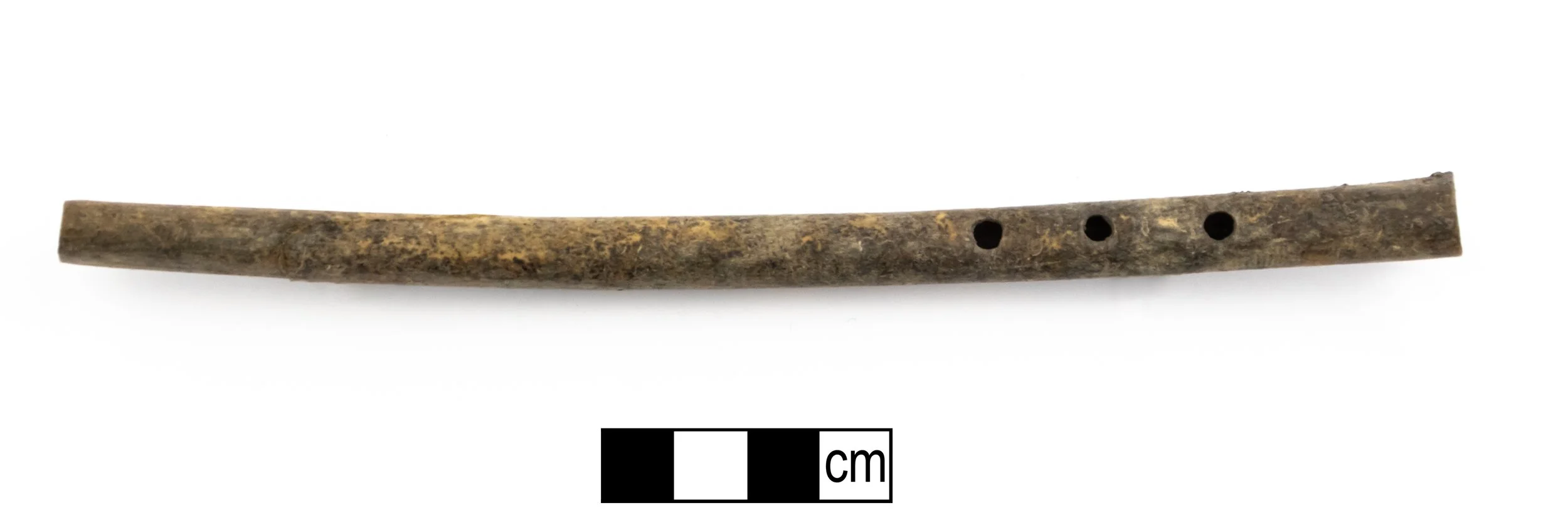 Stabule — LATVIJAS ARHEOLOGU BIEDRĪBA