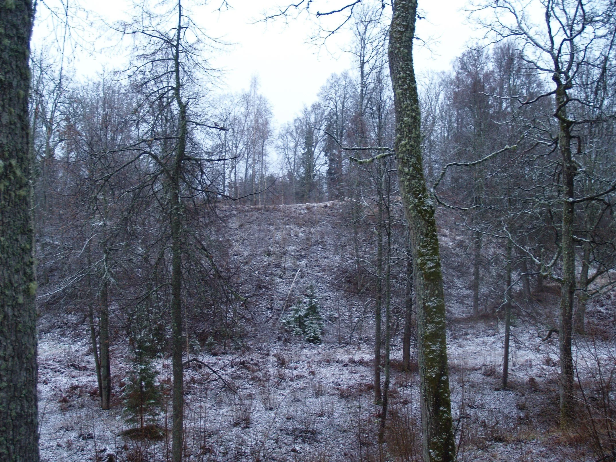 Grebu pilskalns. Autors Juris Urtāns.