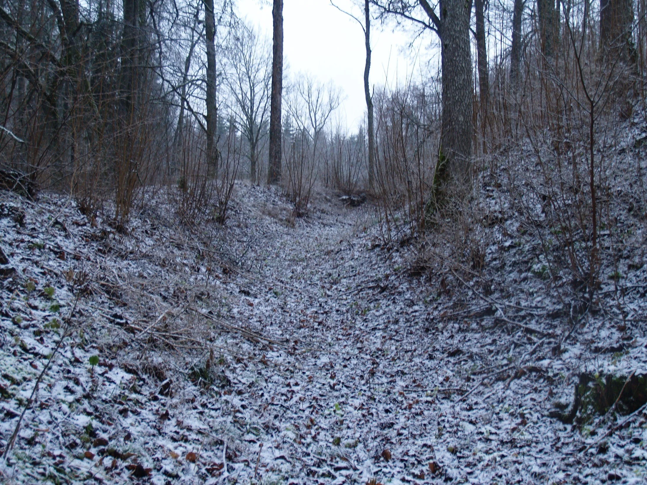 Grebu pilskalna aizsargvalnis un grāvis. Autors Juris Urtāns.