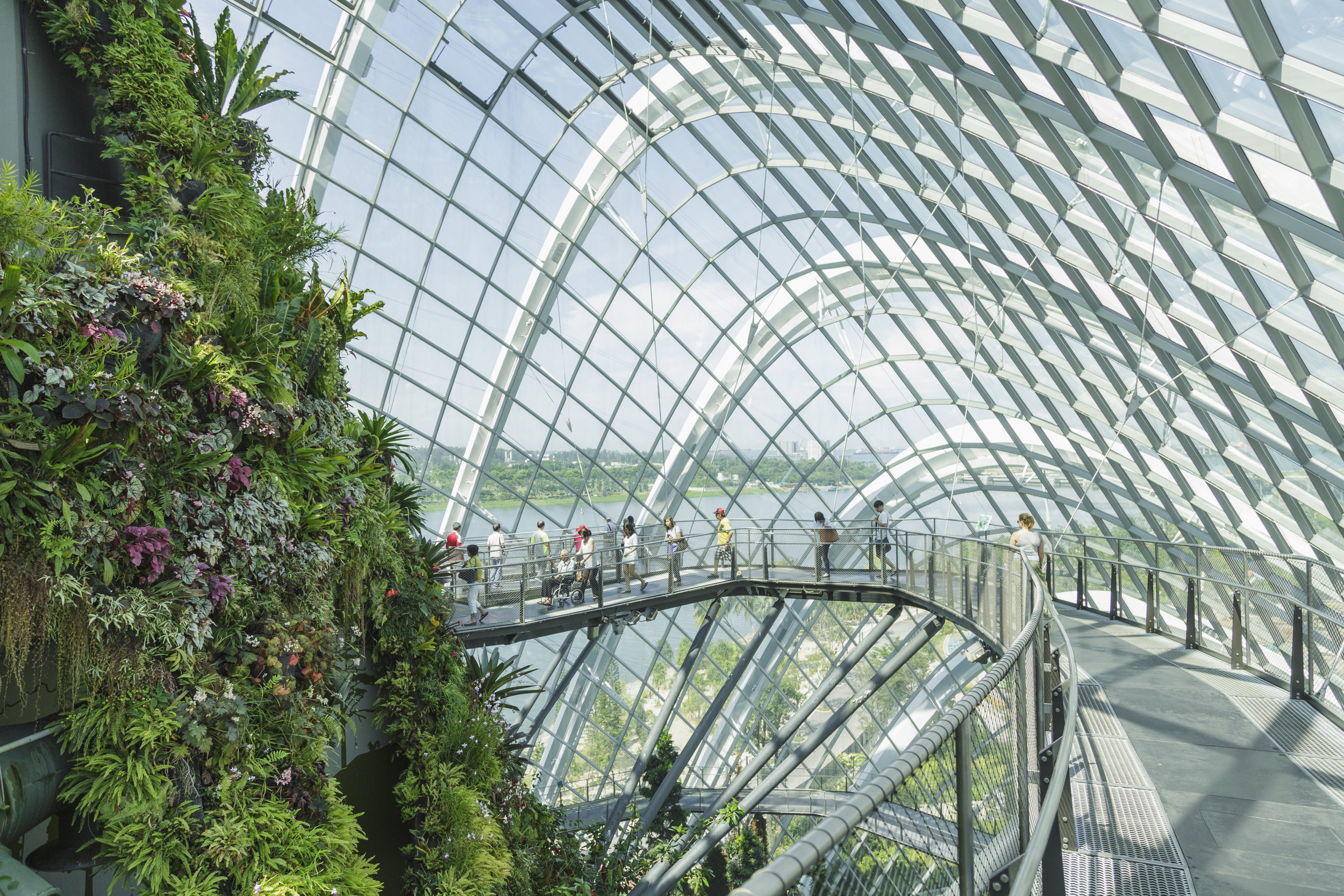    Gardens by the bay   , Singapore   client:   MONOCLE     