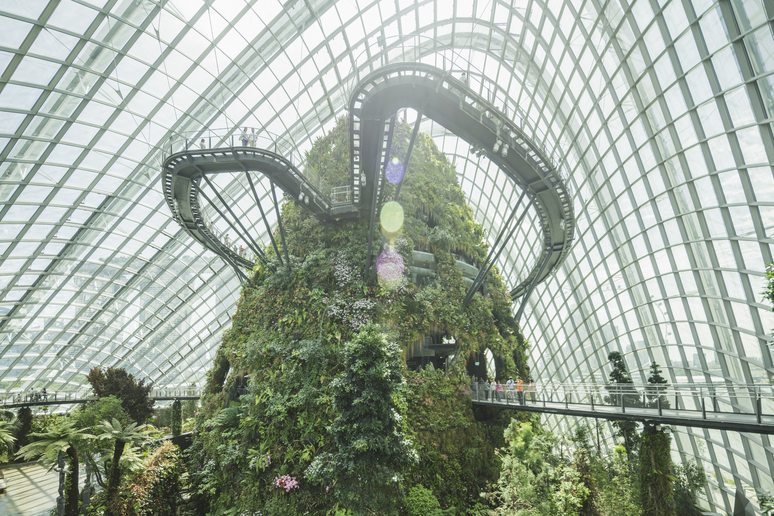   Gardens by the bay, Singapore   client:   MONOCLE     