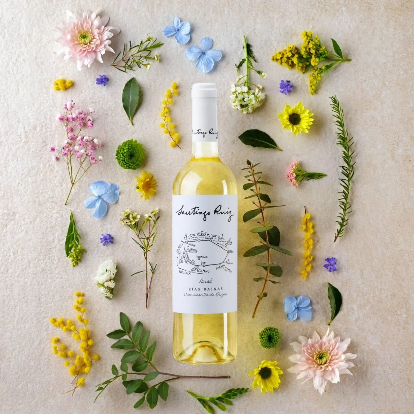 Santiago Ruiz, DO R&iacute;as Baixas - Rosal

👩🏻&zwj;🌾 &Gamma;&epsilon;&nu;&nu;&iota;έ&tau;&alpha;&iota; &mu;έ&sigma;&alpha; &sigma;&epsilon; 44 &epsilon;&kappa;&tau;ά&rho;&iota;&alpha; &alpha;&mu;&pi;&epsilon;&lambda;ώ&nu;&omega;&nu; &eta;&lambda