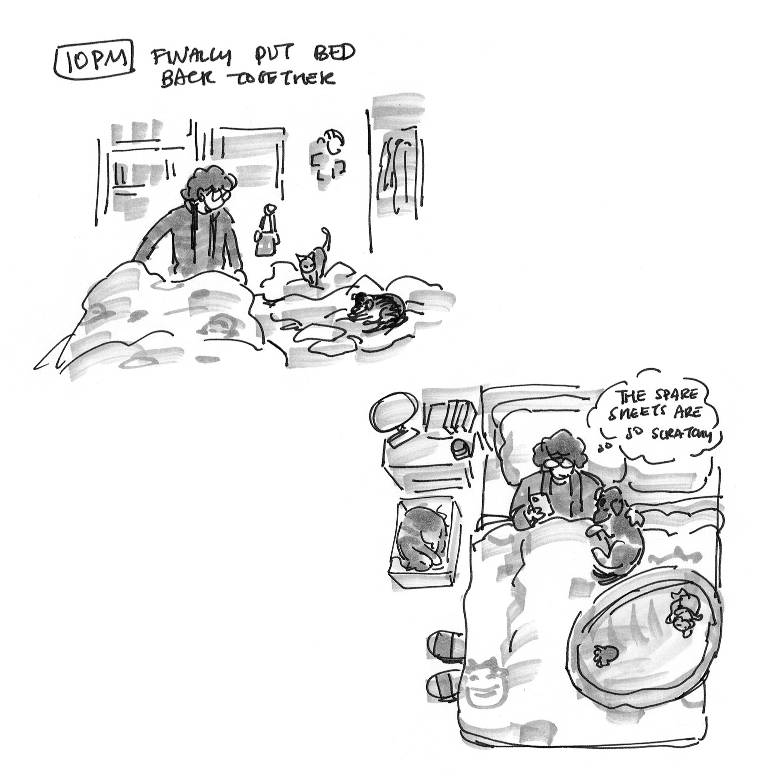 hourlies_12.png