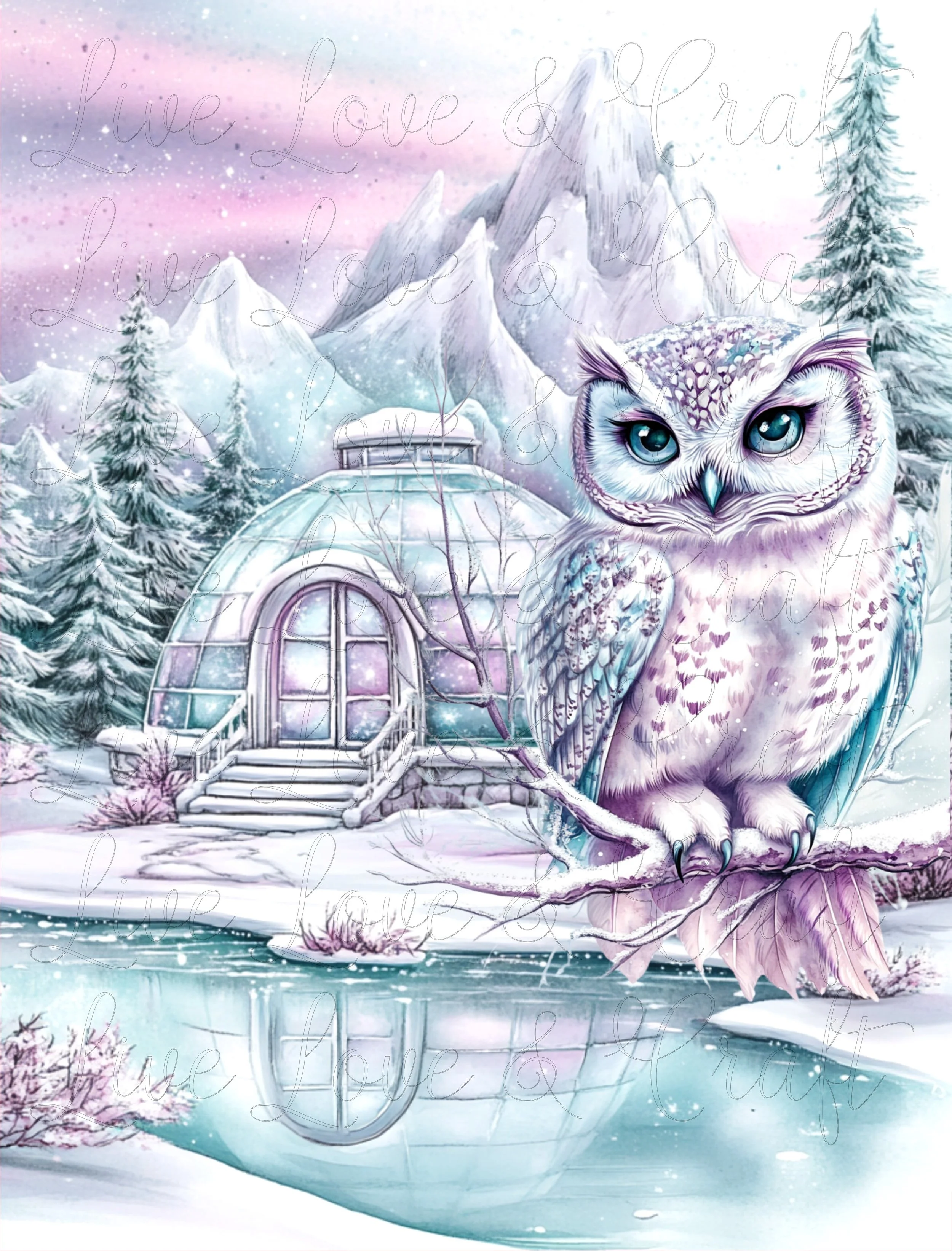DASH - HOLO XMAS 4.jpg
