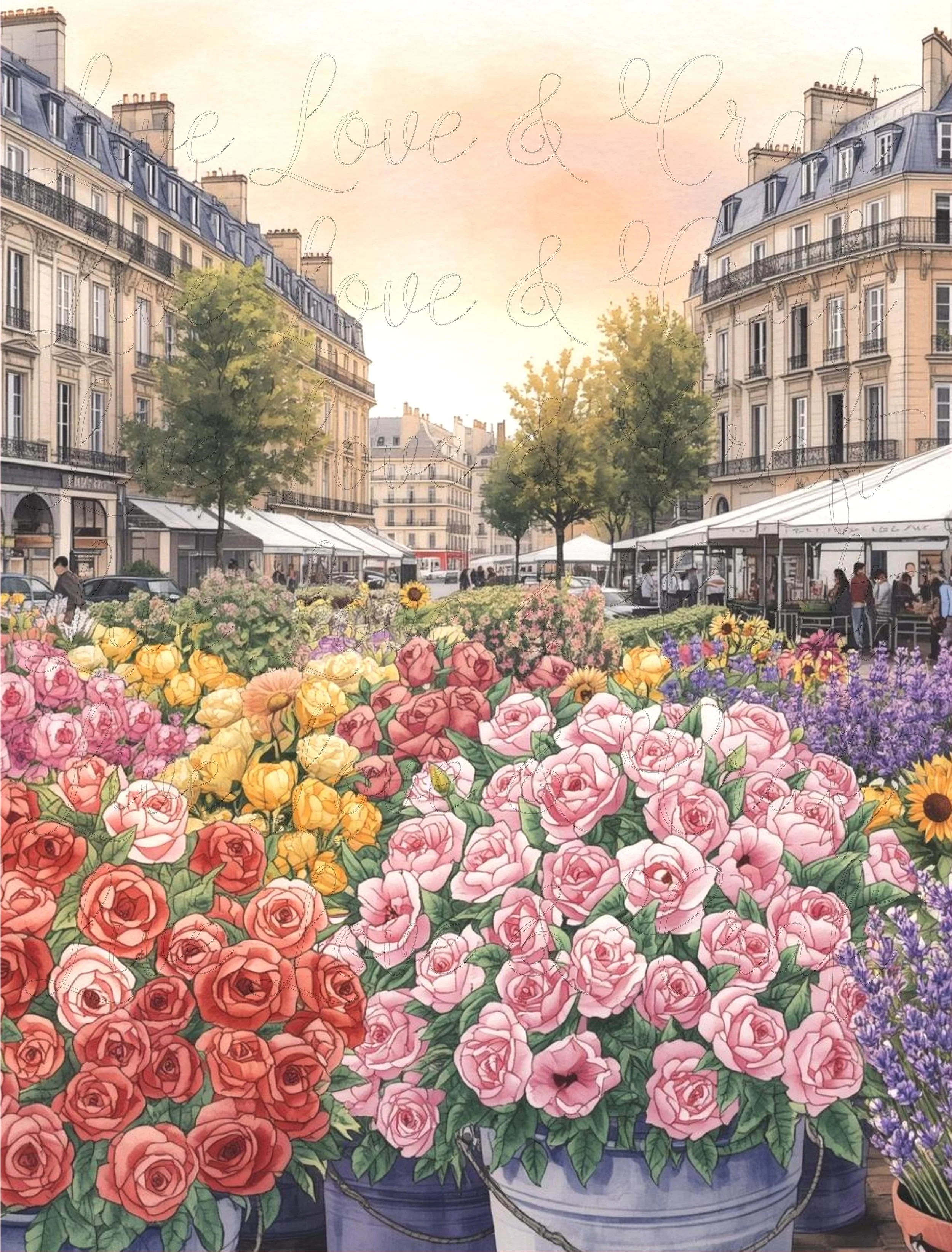 DASH - MY DAY IN PARIS 4A.jpg