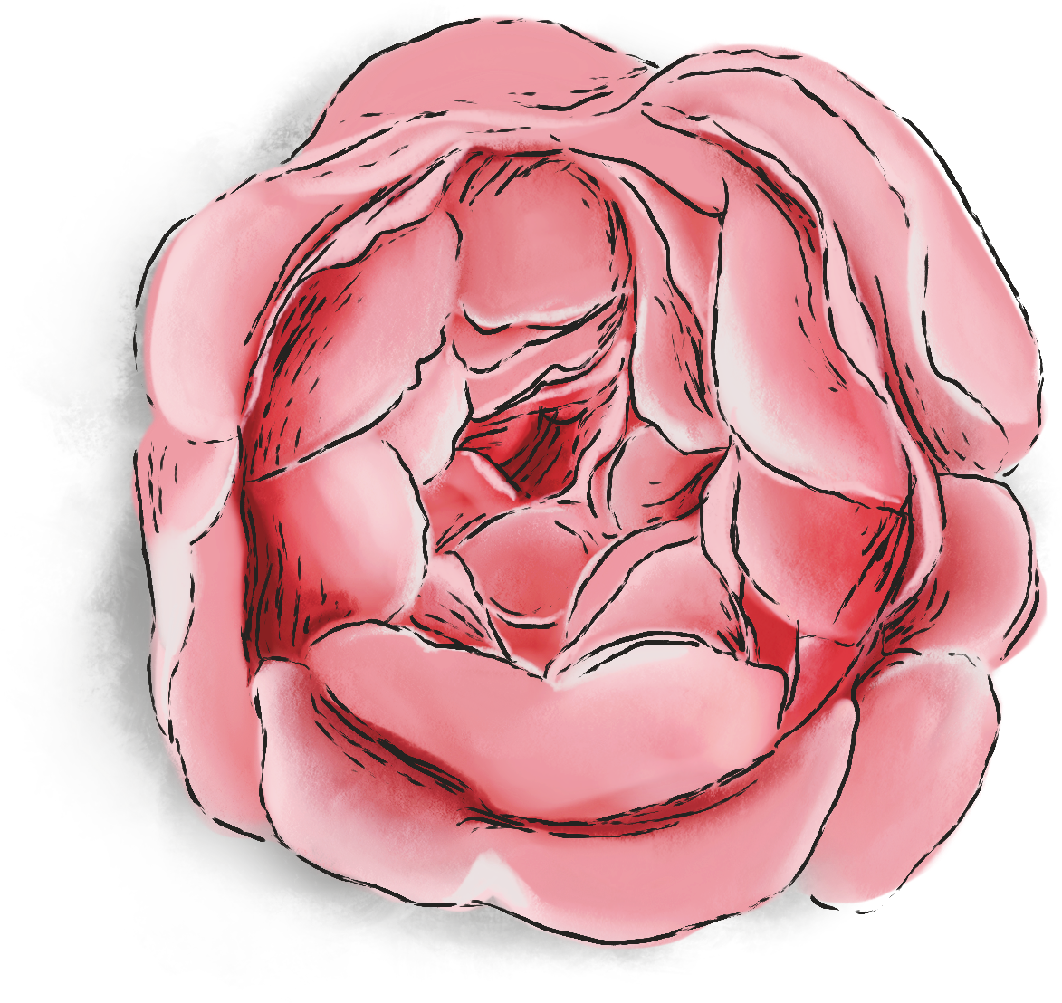 36.webp