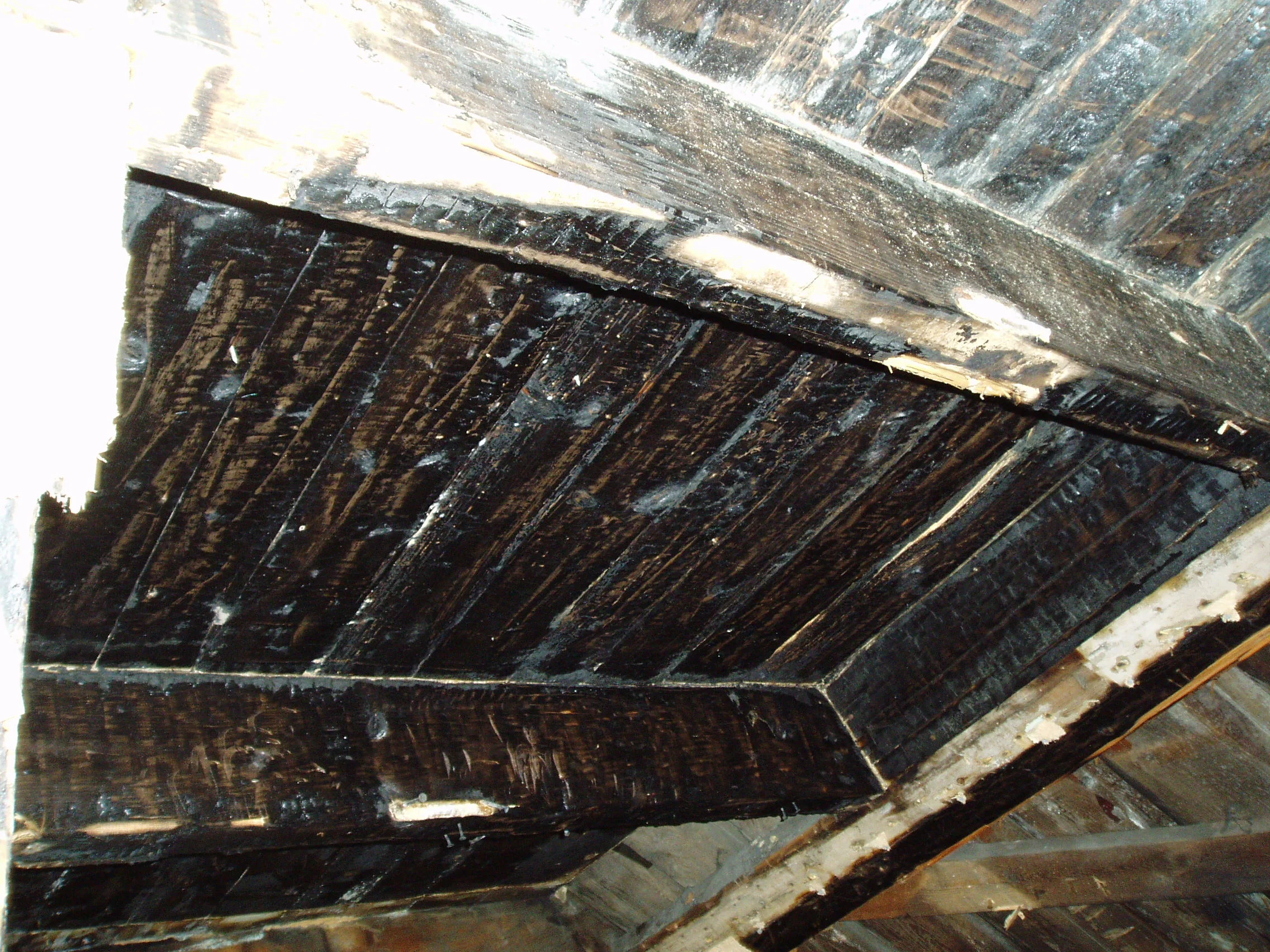P1010008.JPG