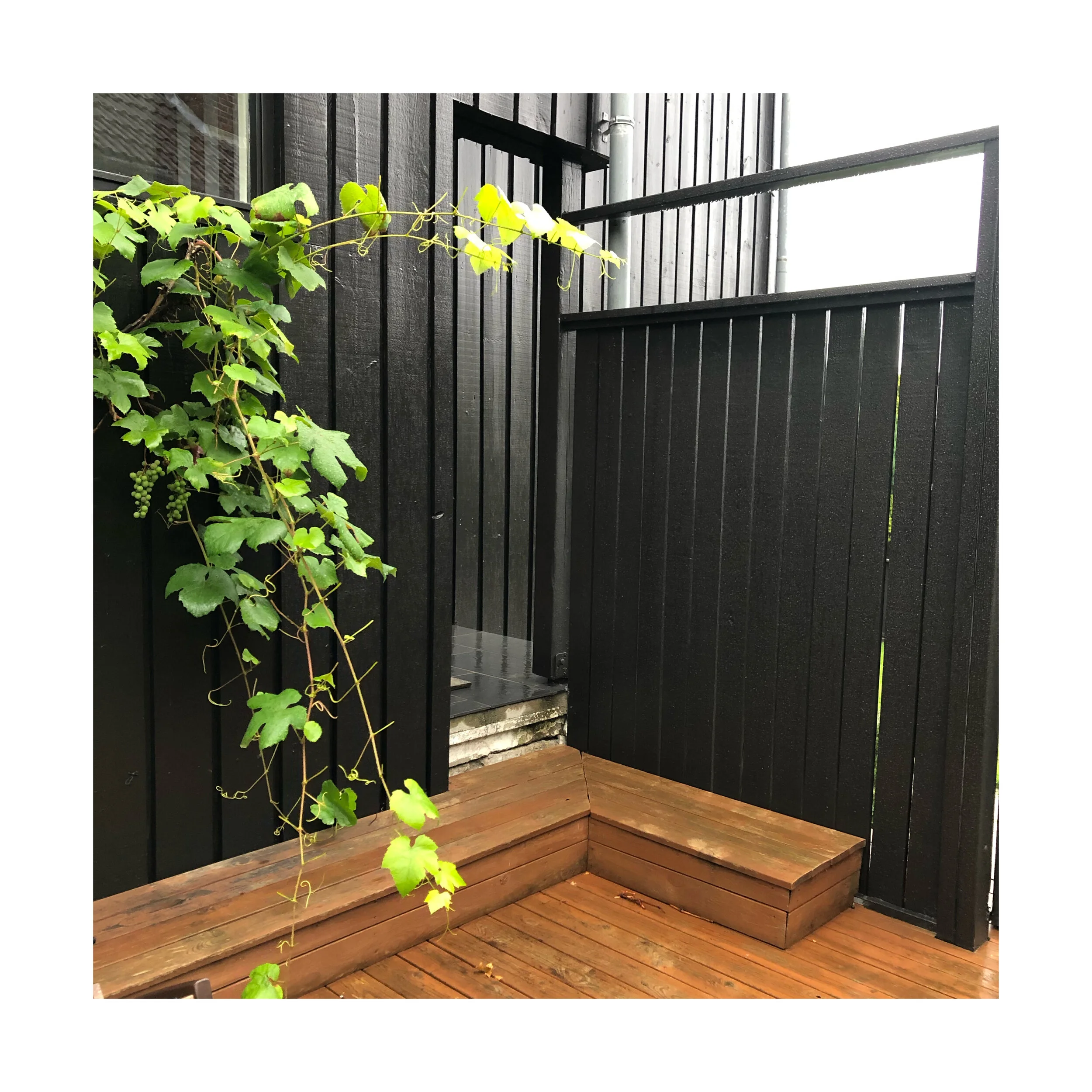 Whitagram-Image 53.JPG