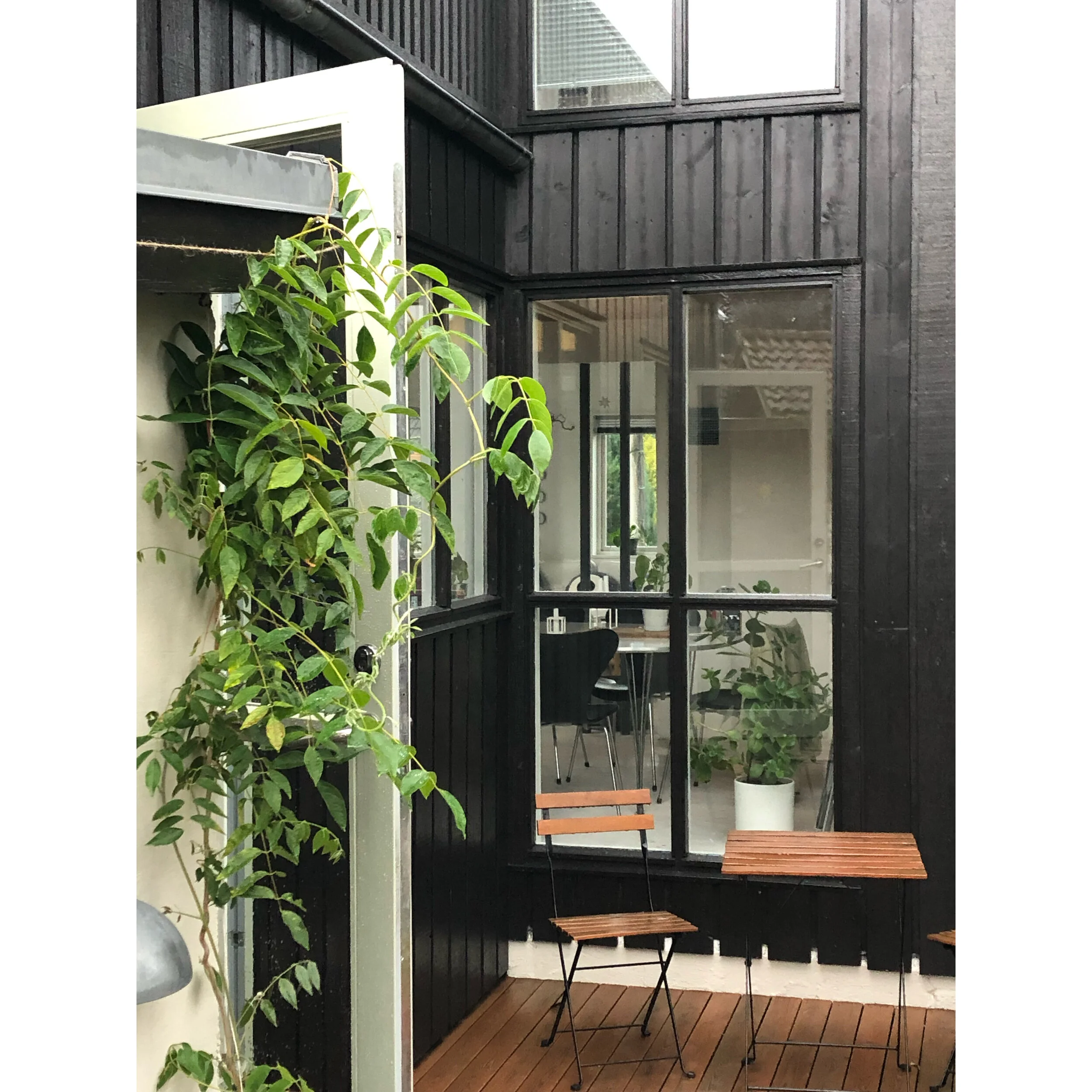 Whitagram-Image 51.JPG