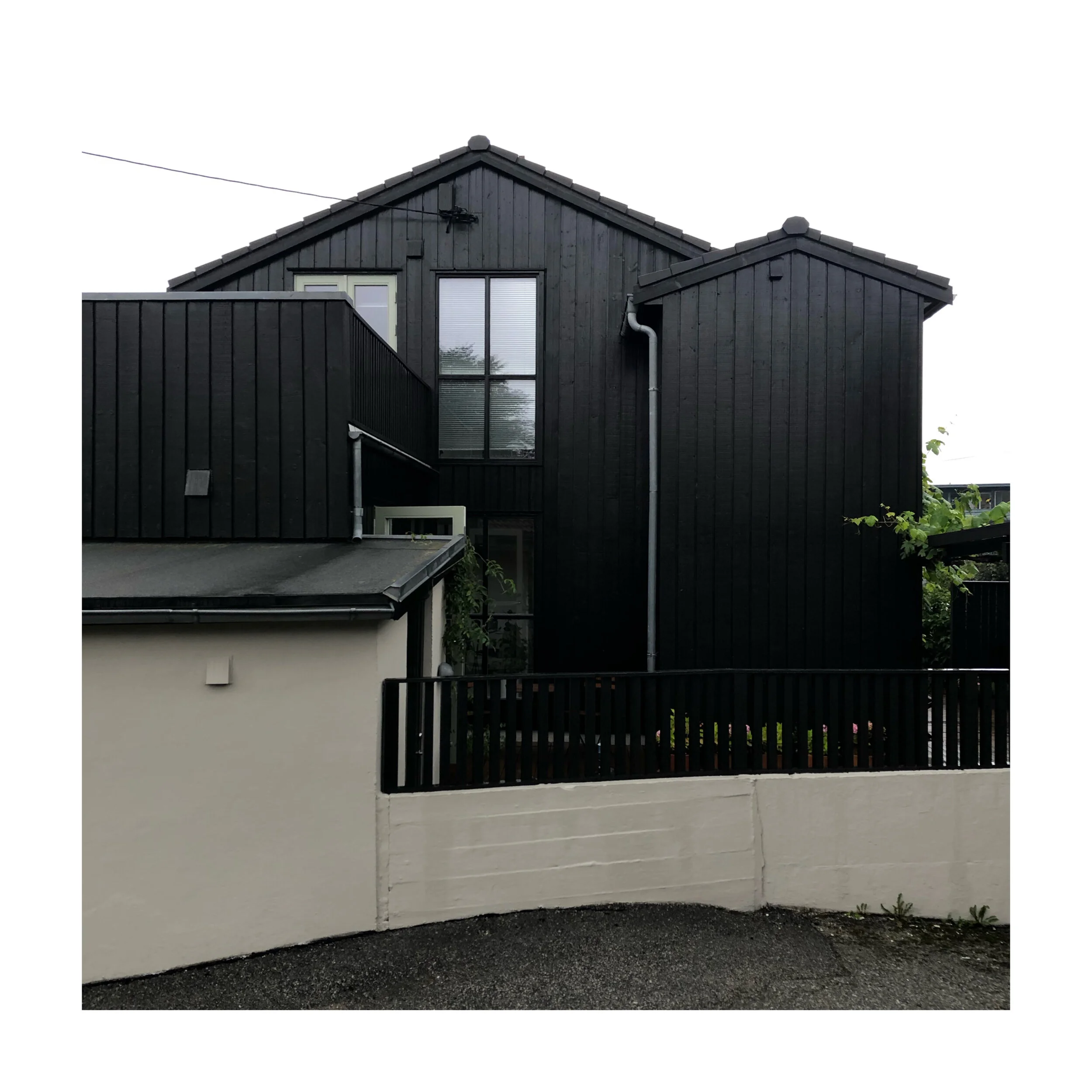 Whitagram-Image 49.JPG