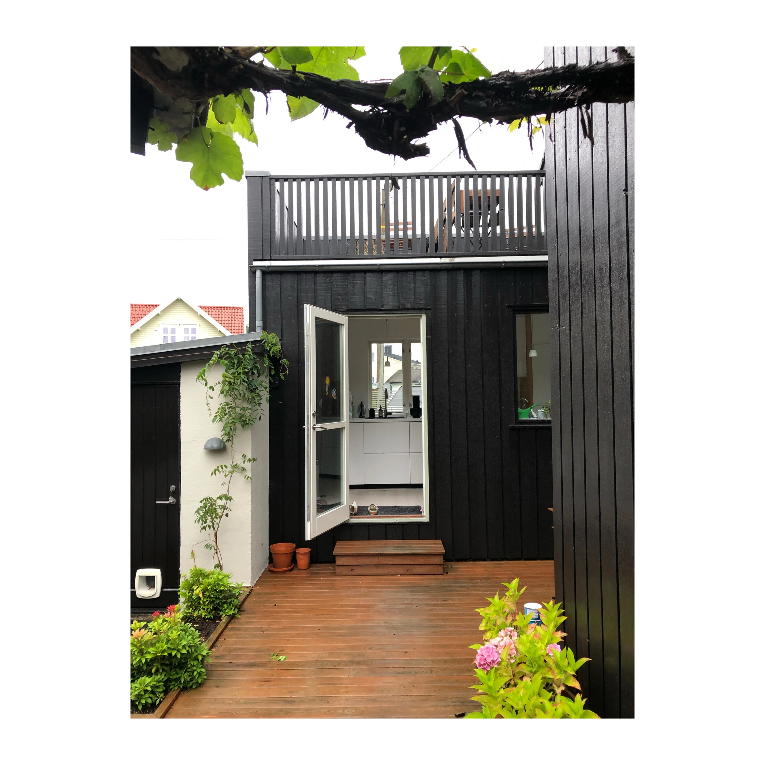 Whitagram-Image 50.JPG