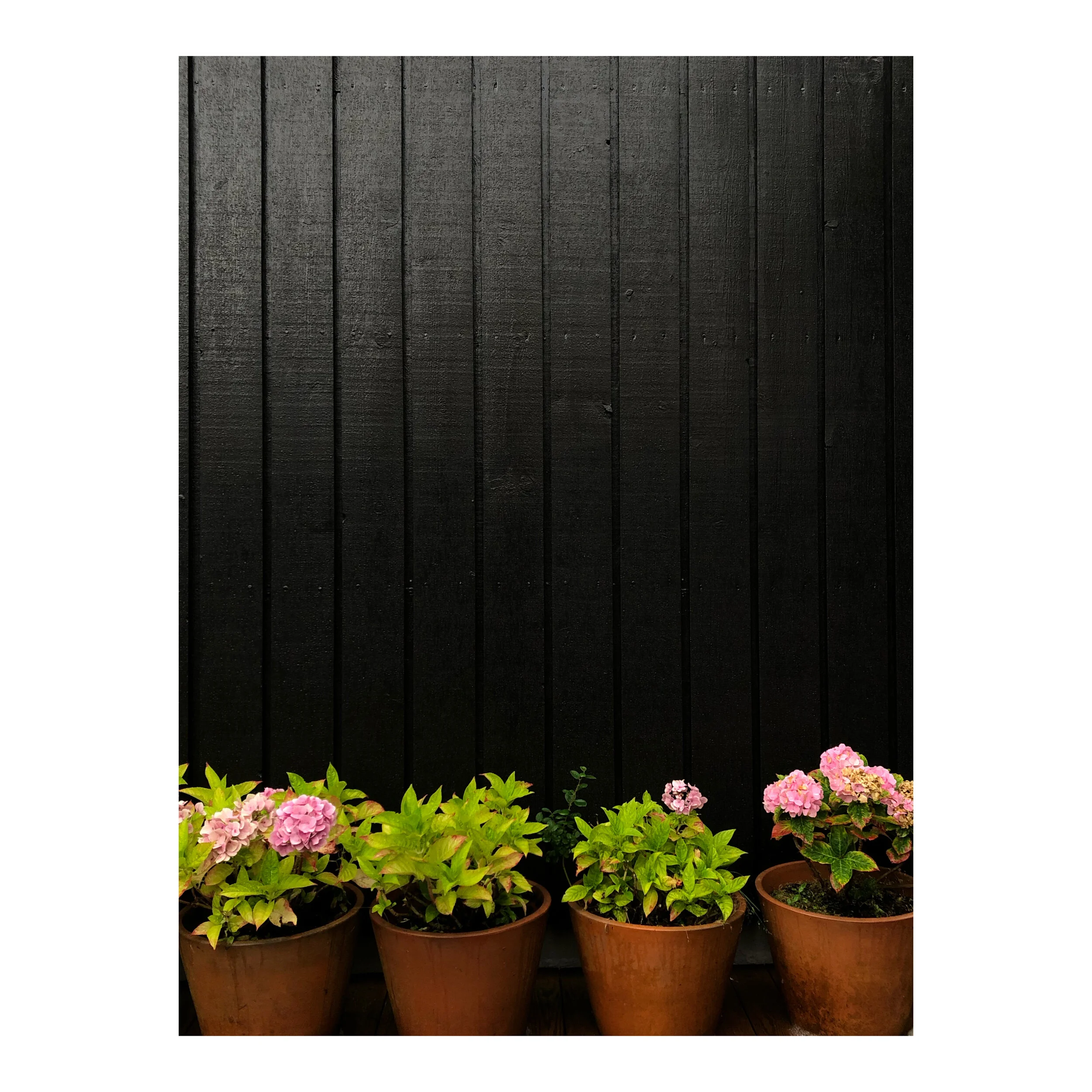 Whitagram-Image 48.JPG