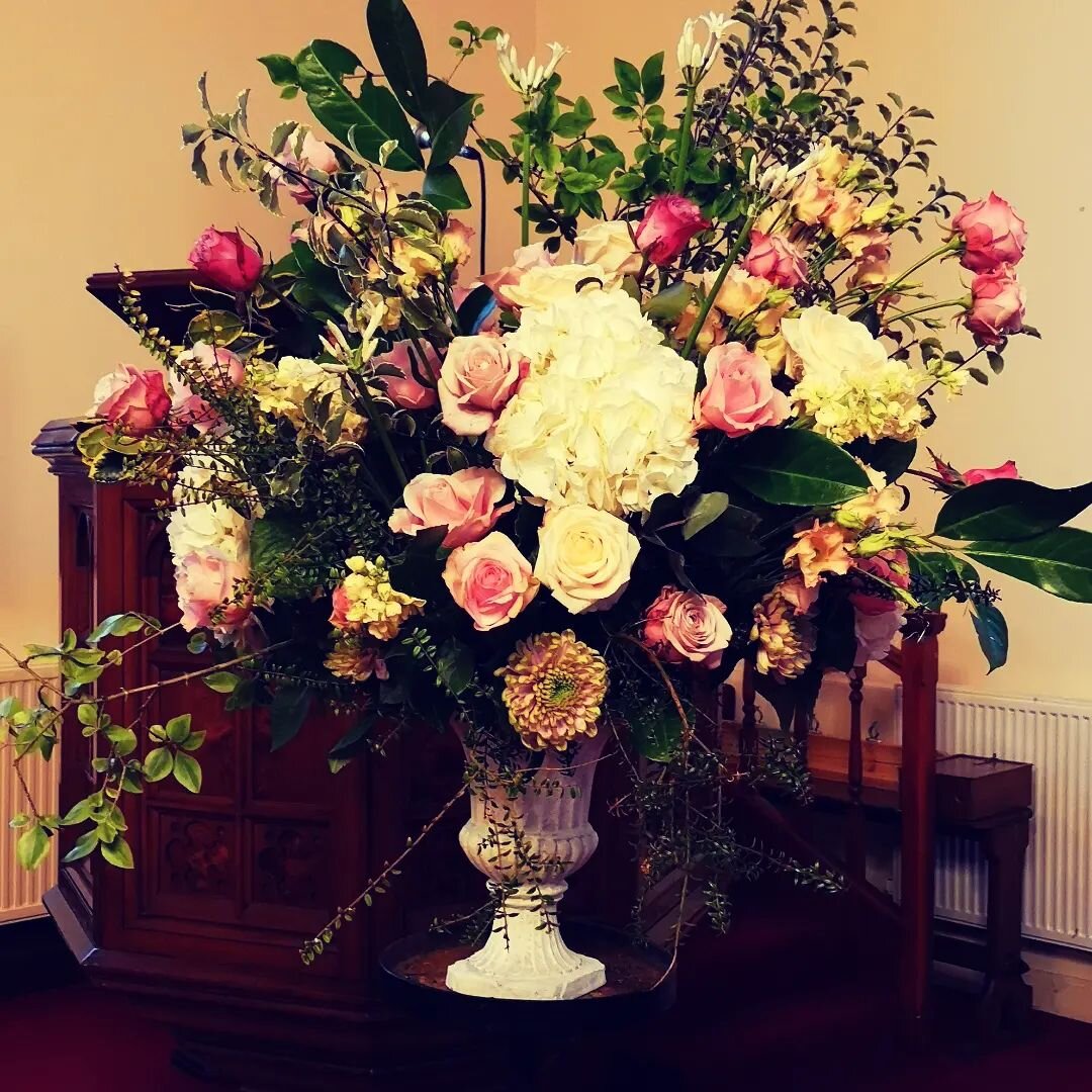 #funeralflowers #roses #pink #amazingladysprayrose #family #gatehouseoffleet #dumfriesand galloway
Funeral flowers for my amazing cousin Annie, always so cheerful, kind and generous, she will be sorely missed. ❤️❤️
Also some tree lichen for her niece