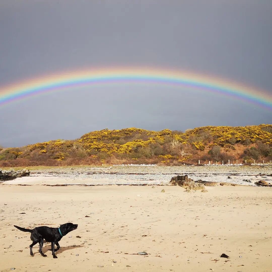 #rainbow #nofilter #itsadogslife #secretbeach

Couldn't resist this picture of most amazing and vivid rainbow... Gone in seconds but what a stunner!