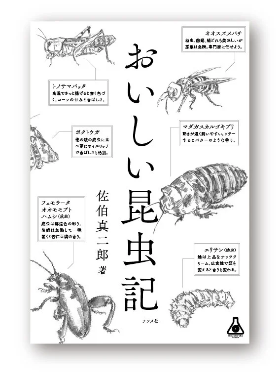 konchuki_H1.jpg