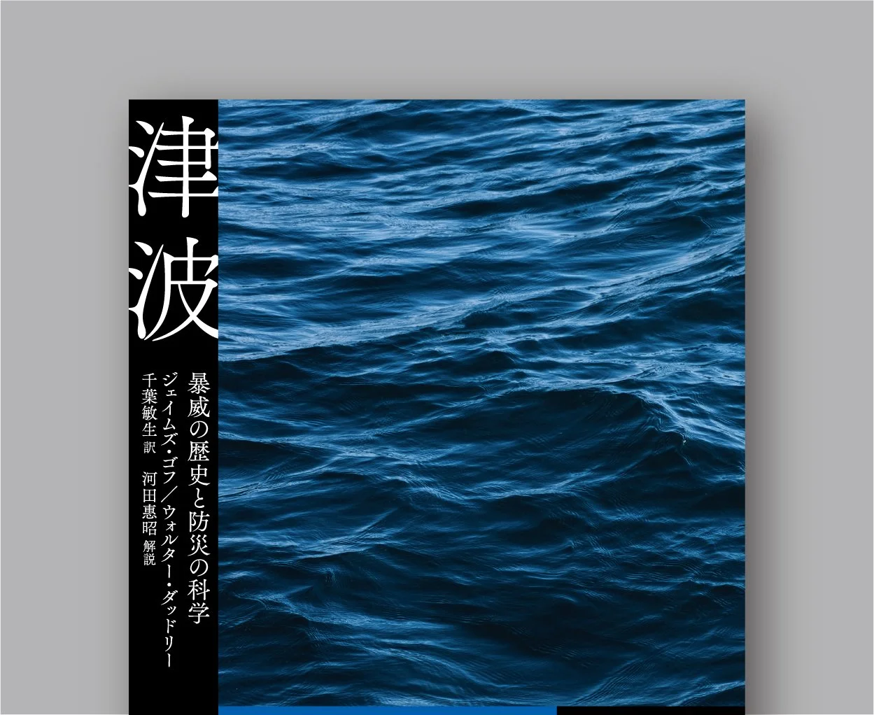 tsunami_top_.jpg