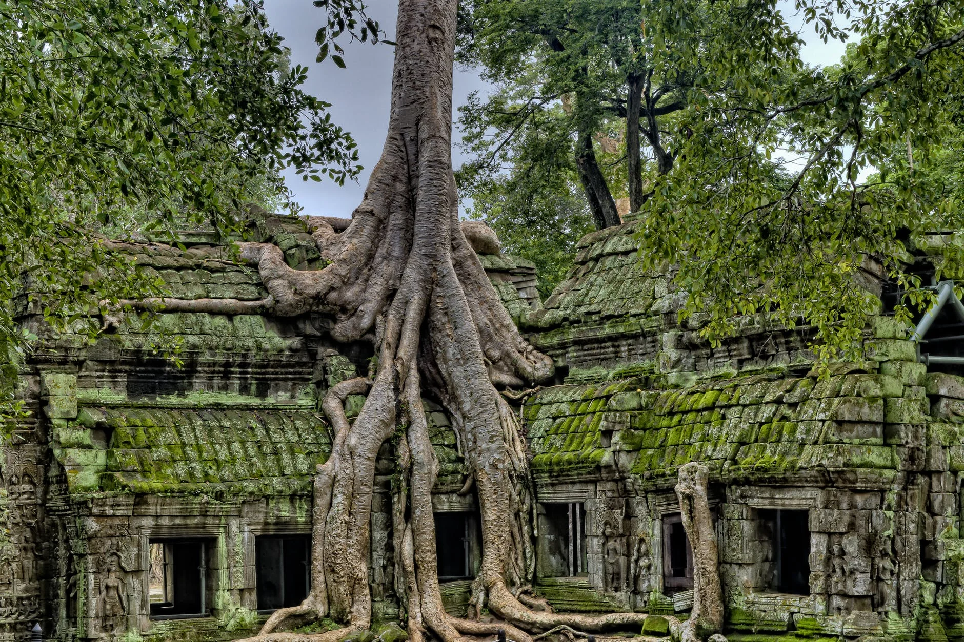 Cambodia.jpg