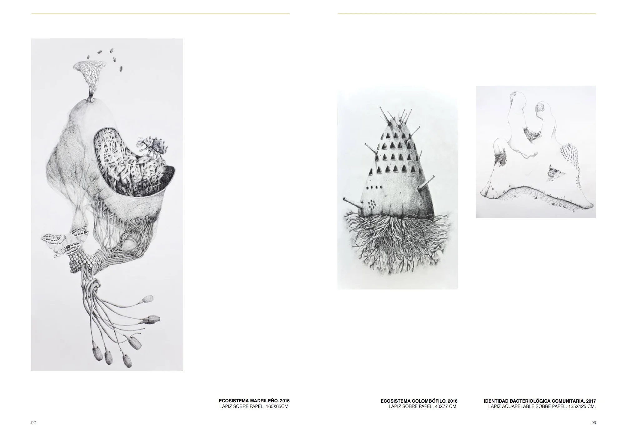 CATALOGO EAC 2017 .jpg