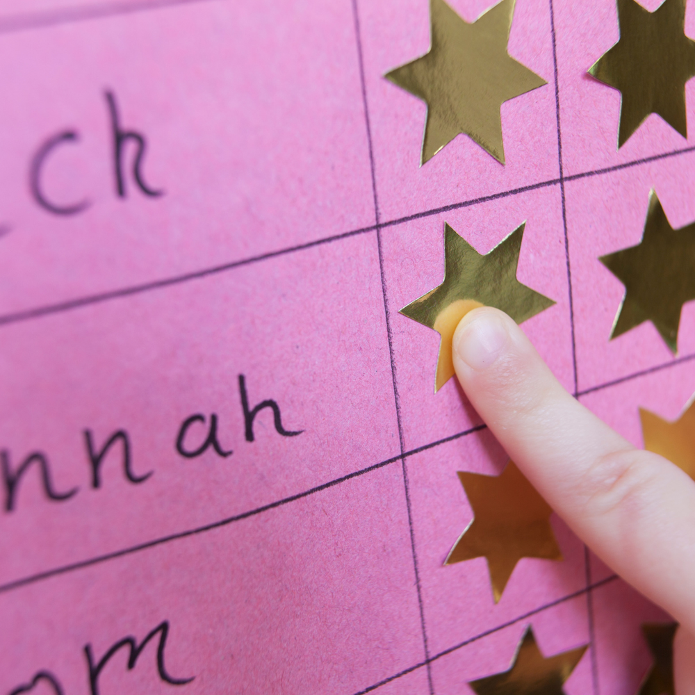 do-reward-charts-work-bespoke-family