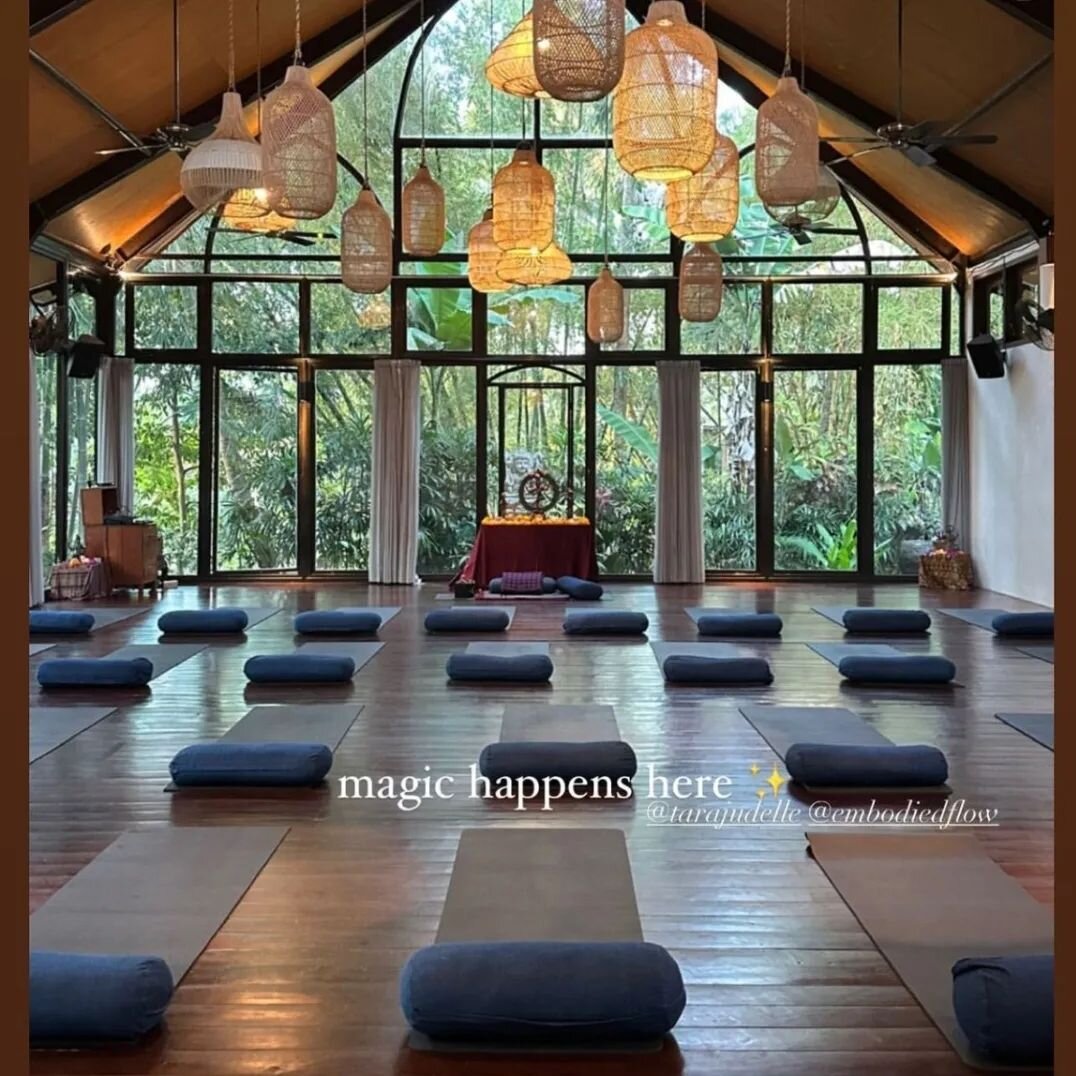 👣 Returning Home to self 🌻

5 years ago I completed my 200hr Yoga Teacher Training with @embodiedflow in Ubud, Bali which I continue to weave into my teachings, work and supports each day.

Forever grateful to my lineage of teachers including @tara