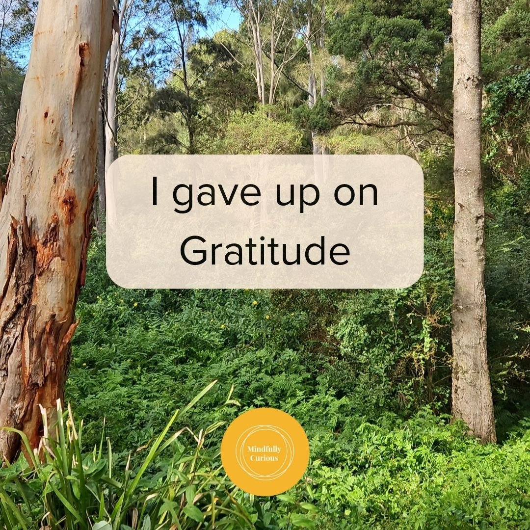 I was sick of the generic &quot;write 3 things you are grateful for&quot;.

It just felt like another thing on the to do list.

I had become complacent that's for sure.

So I stopped.

And then that first year of post-partum hit and my world/ mental 