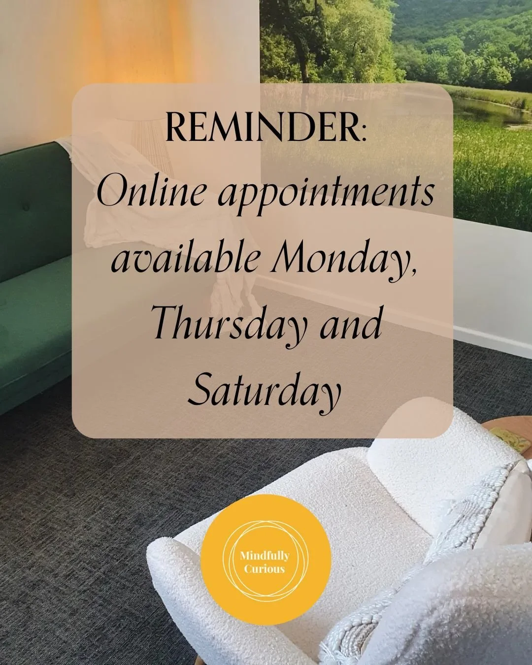 Hey team! A quick PSA 📢

Online appointments are available Monday, Thursday and Saturday.

If you are wanting to make an online appointment for Thursday and Saturday, please use the IN PERSON booking button via my website and in the comments/note se