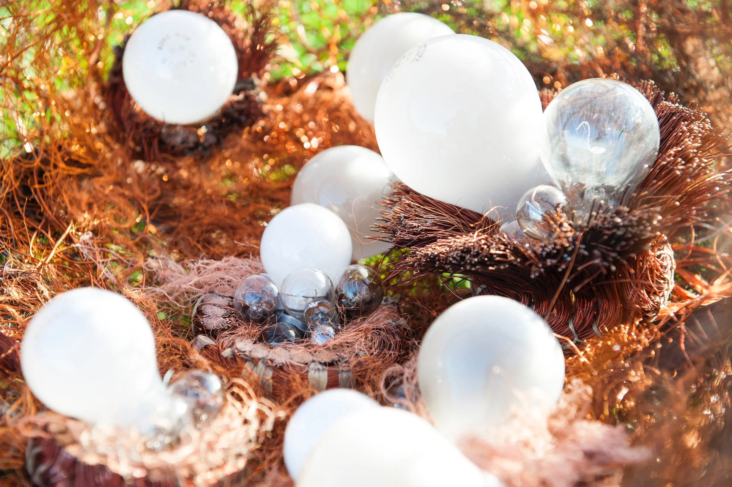 Giant Nest (detail).jpg