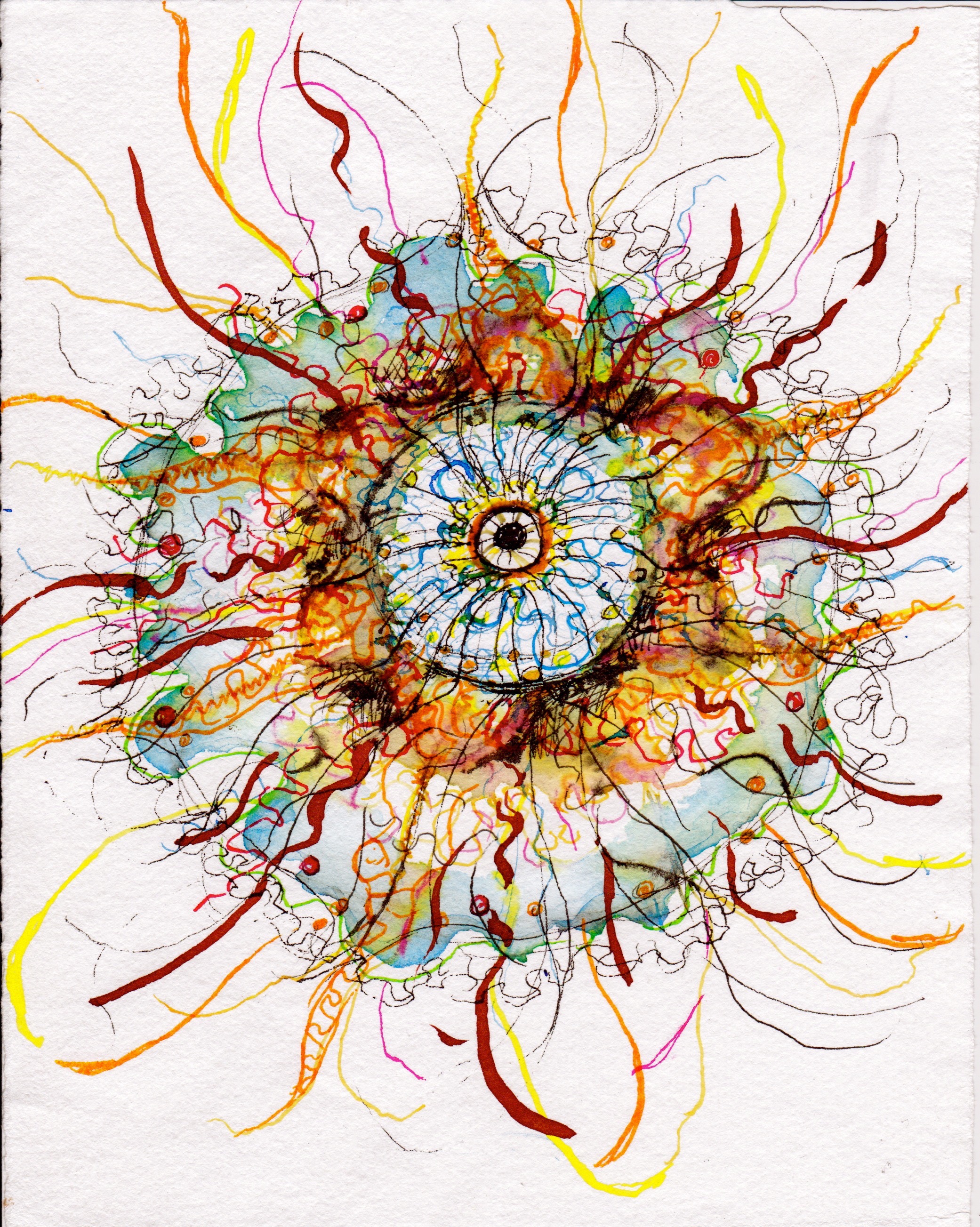 Diatom Watercolours and ink on hand-made Wookey Hole paper