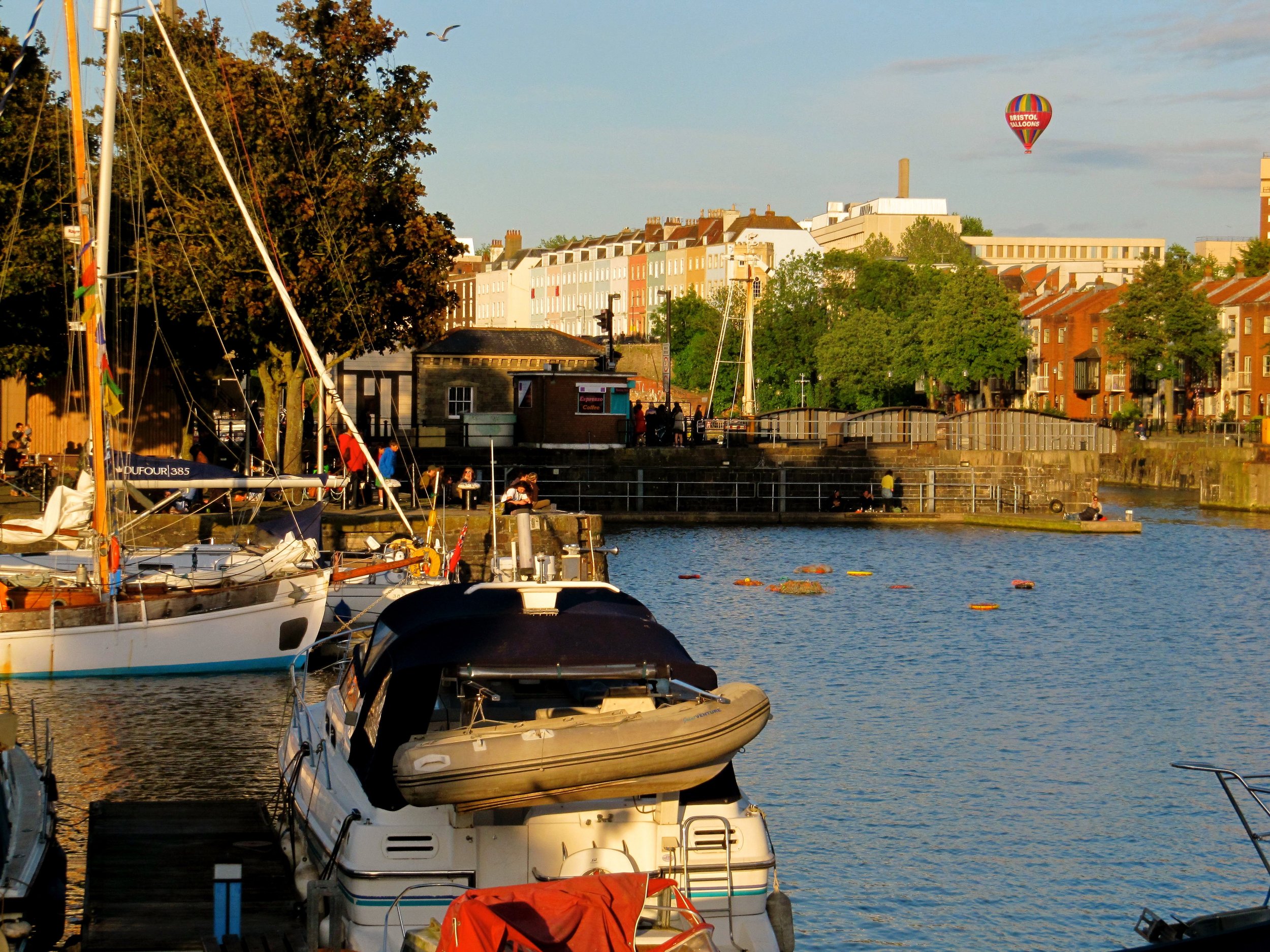 Diatoms floating in Arnolfini Harbour, Bristol, Big Green Week 2012.jpg