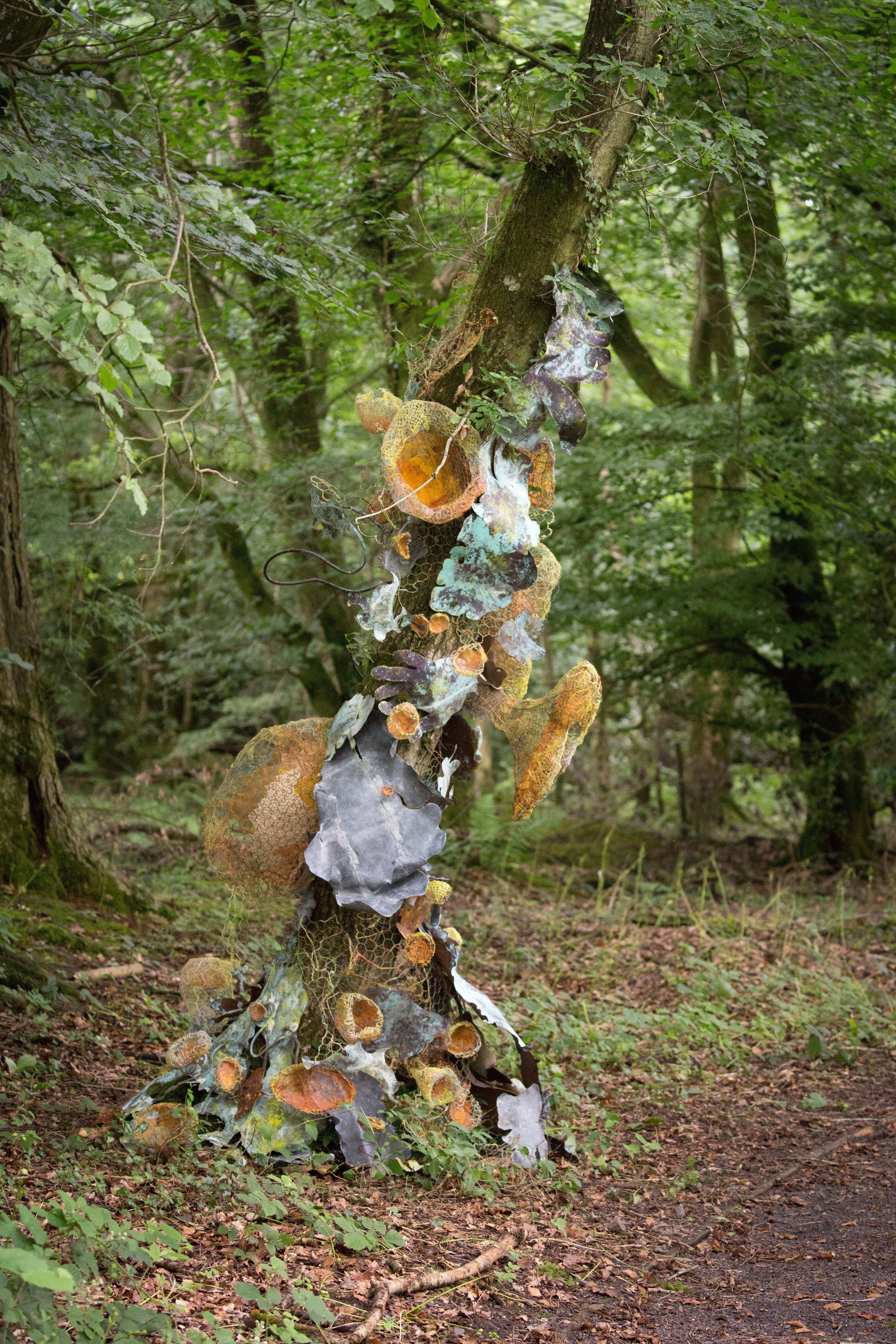 Lichen 3m high. Installed for step in stone, 2015. Photo Duncan Simey
