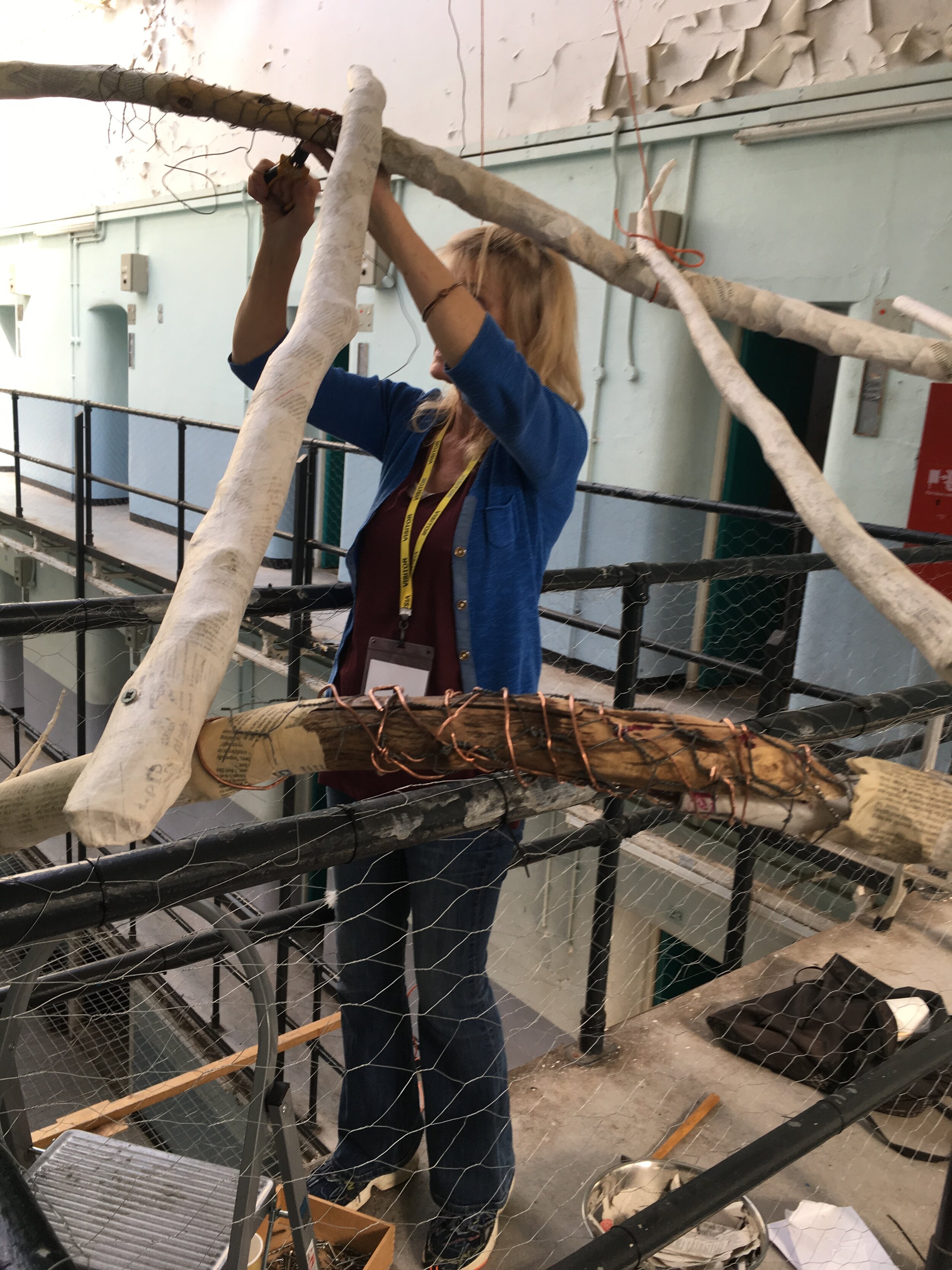 Fiona installing Snakes and Ladders.JPG