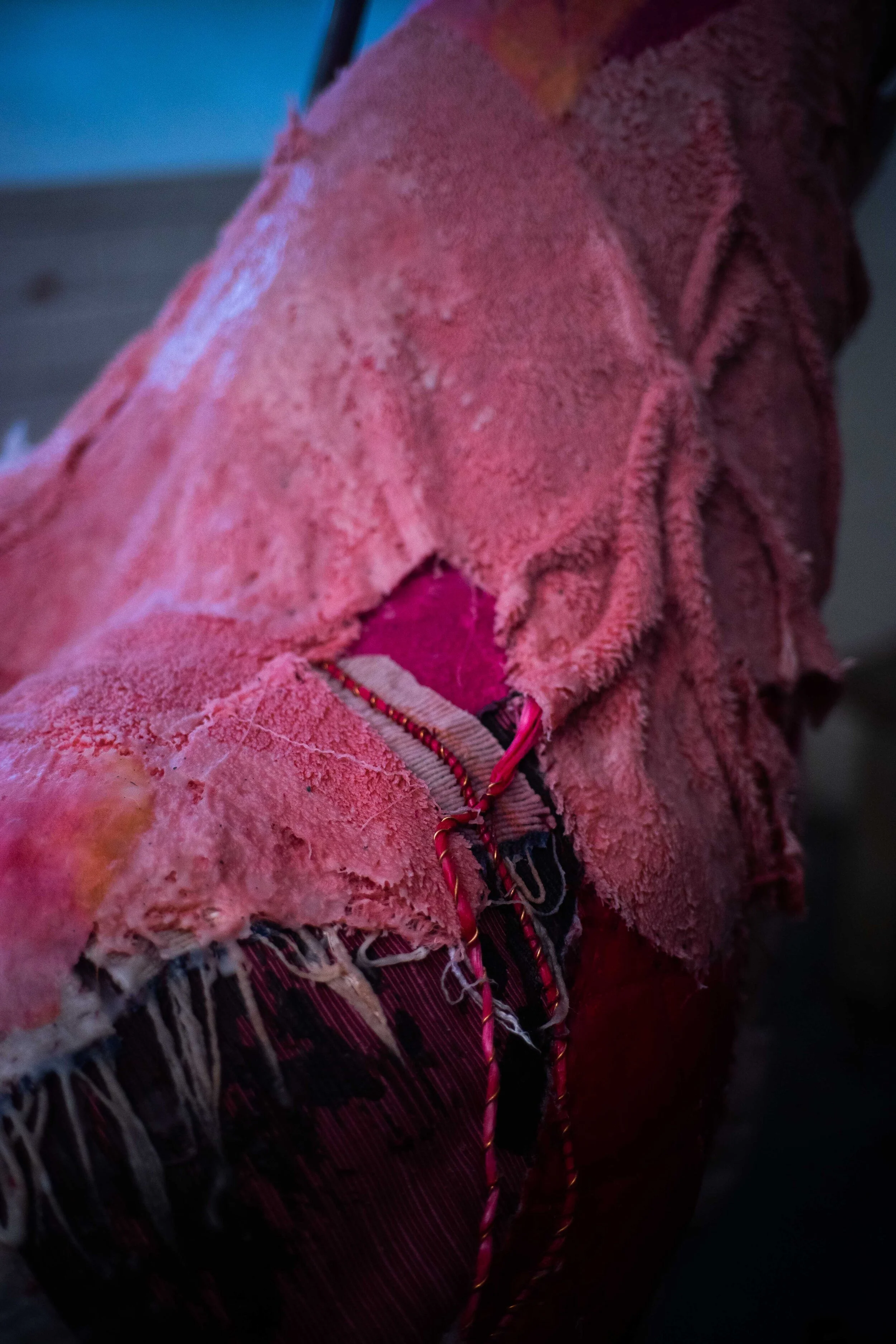 Fiona Campbell Tongue detail. Photo by Tchad Findlay.JPG