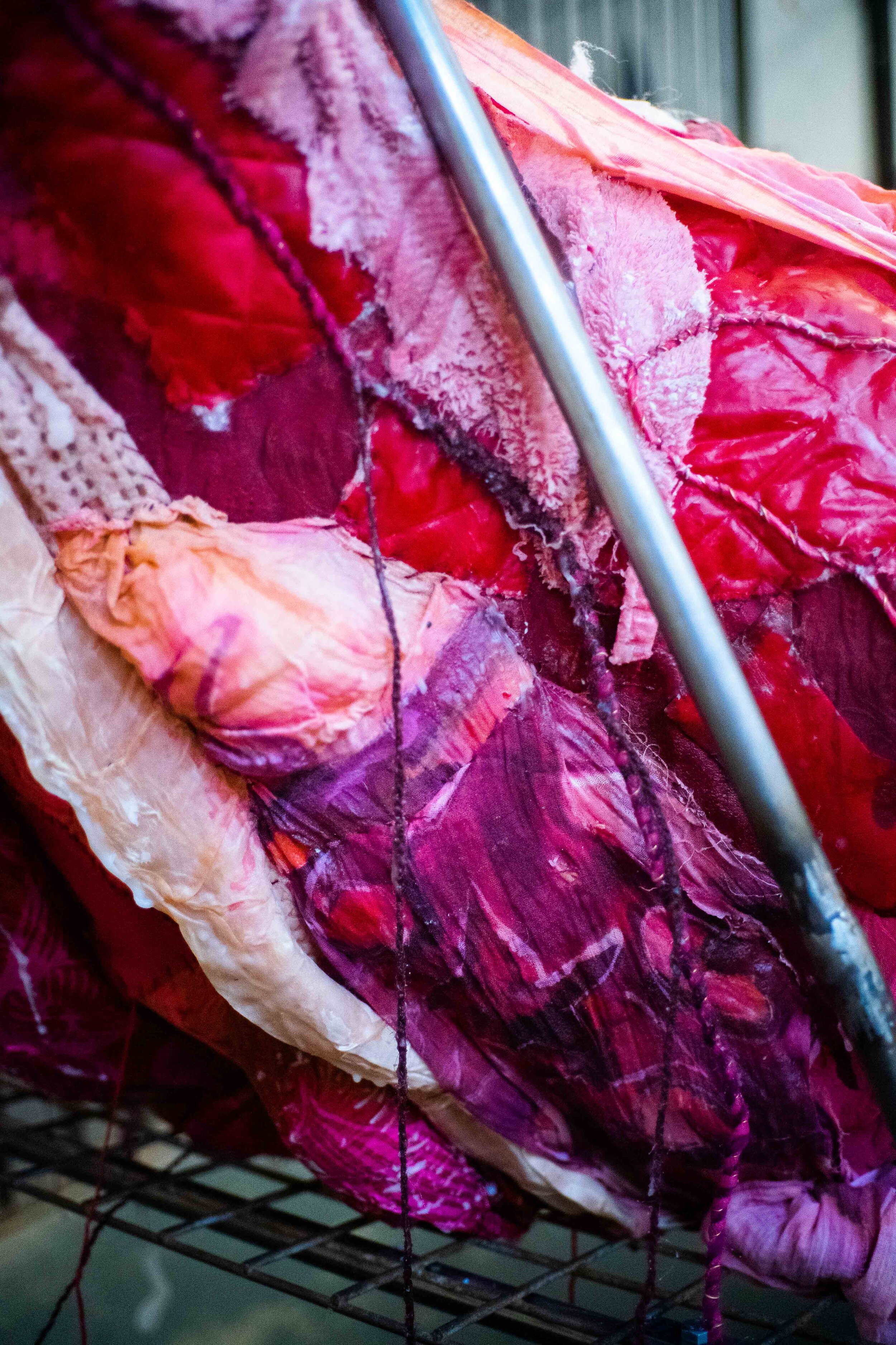 Tongue detail-05251.JPG