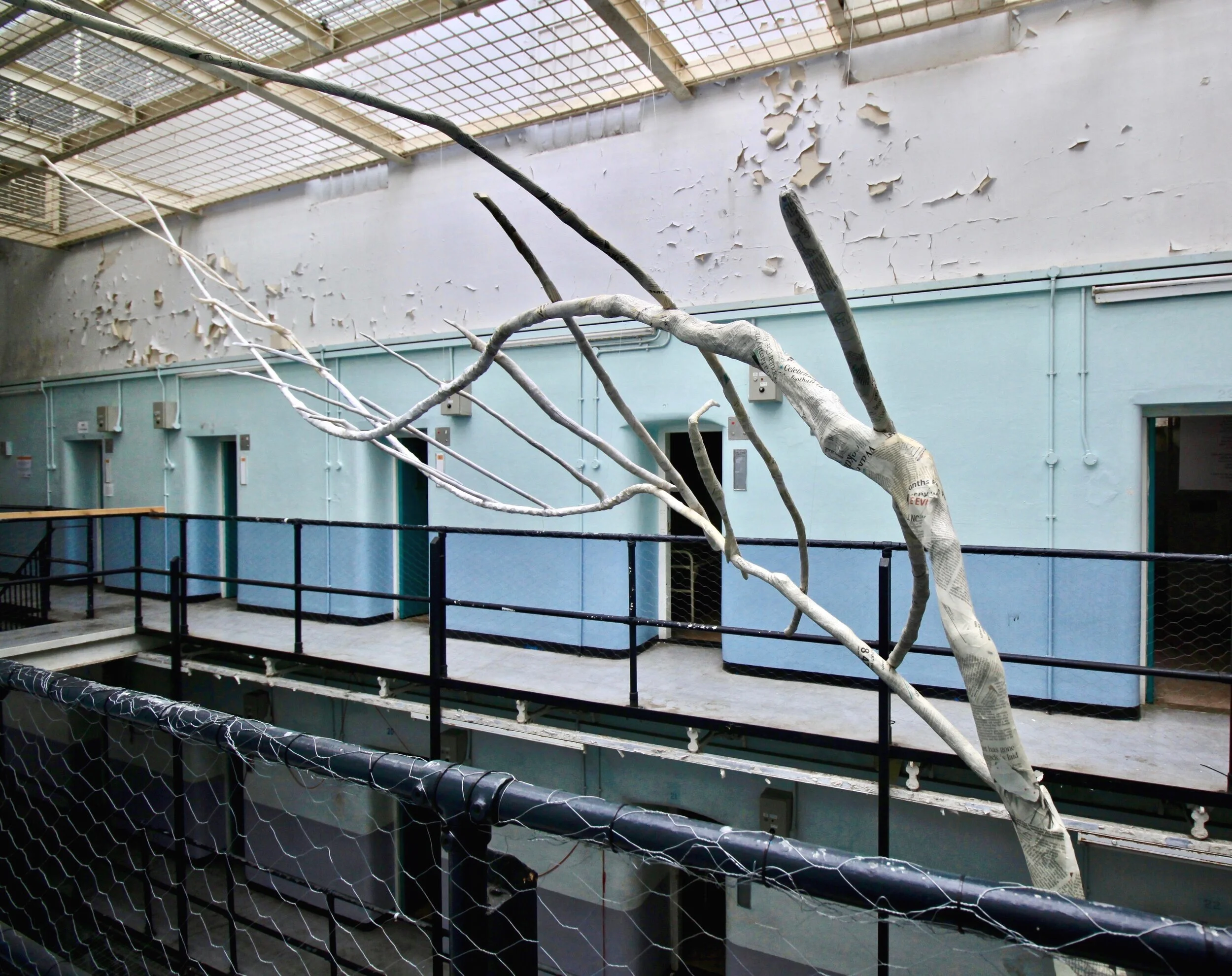 Fiona+Camnpbell+Snakes+and+Ladders+Photo+by+Dave+Cable+copy.jpg