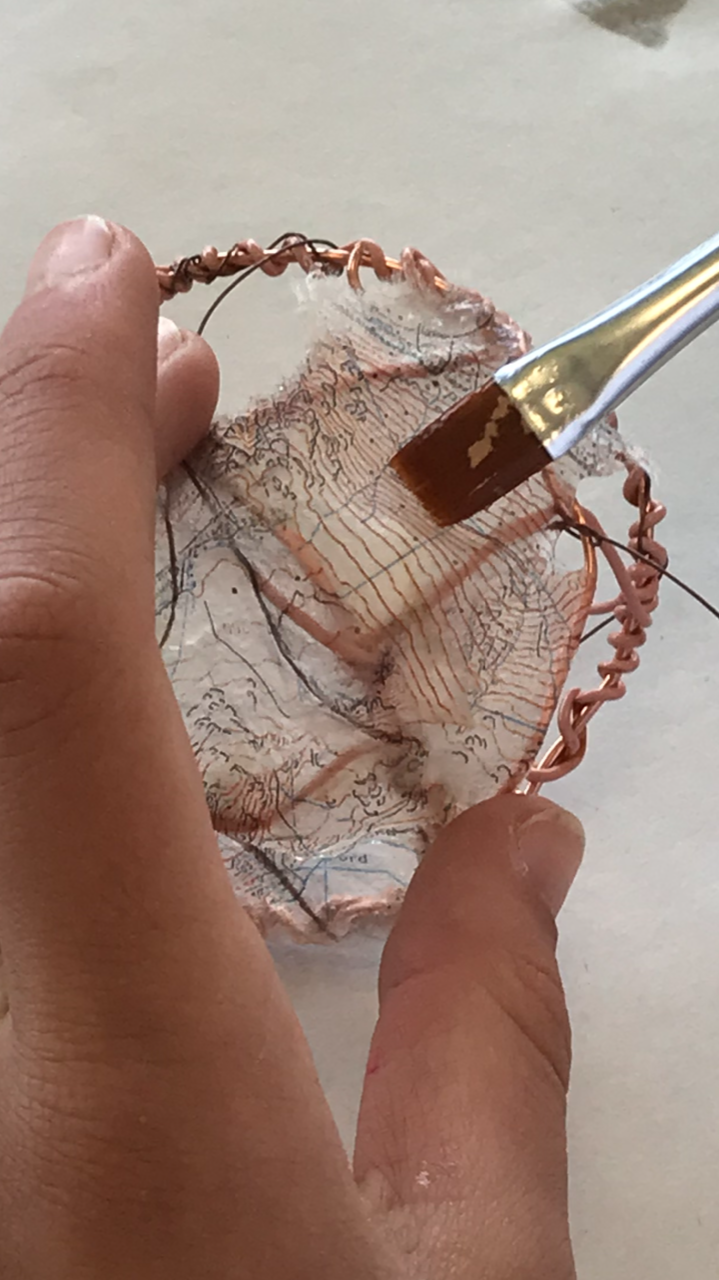 Cellular structures.PNG