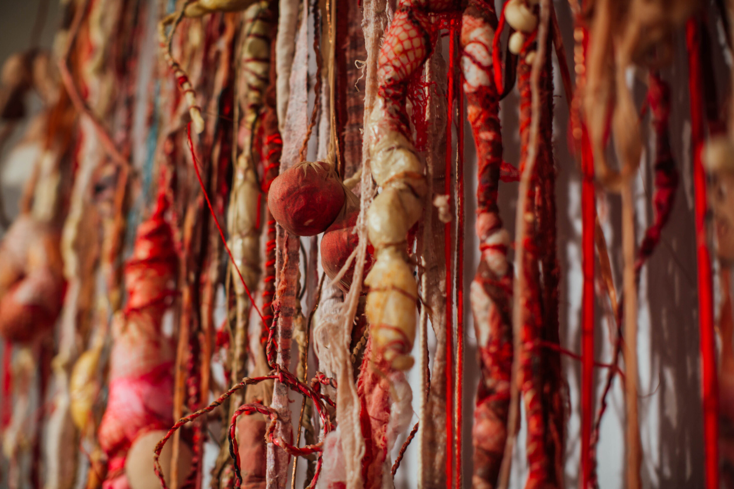 Glut (detail) at RSS. Photo by Jennifer Moyes.jpg