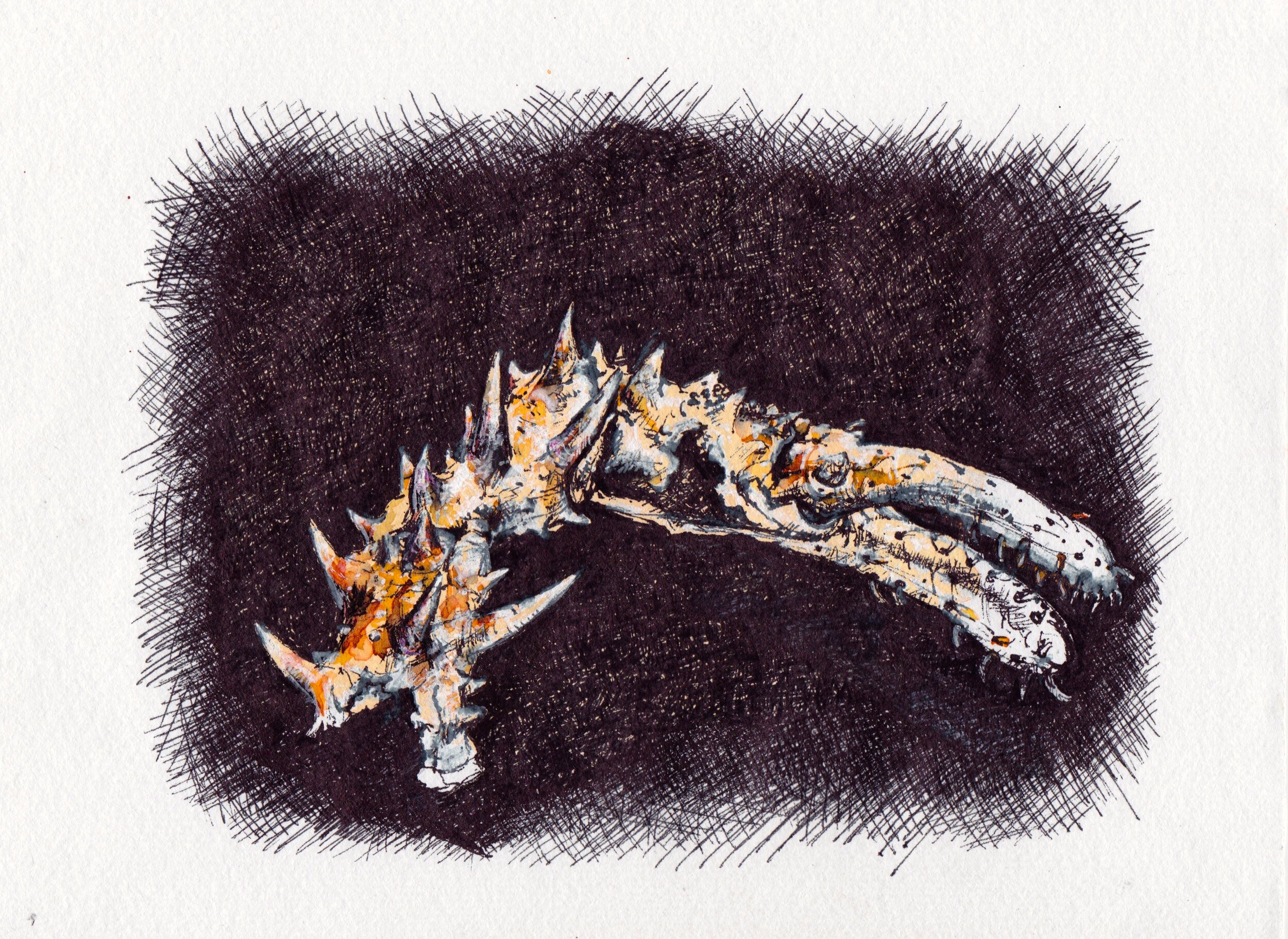 Spiky Crab Claw 