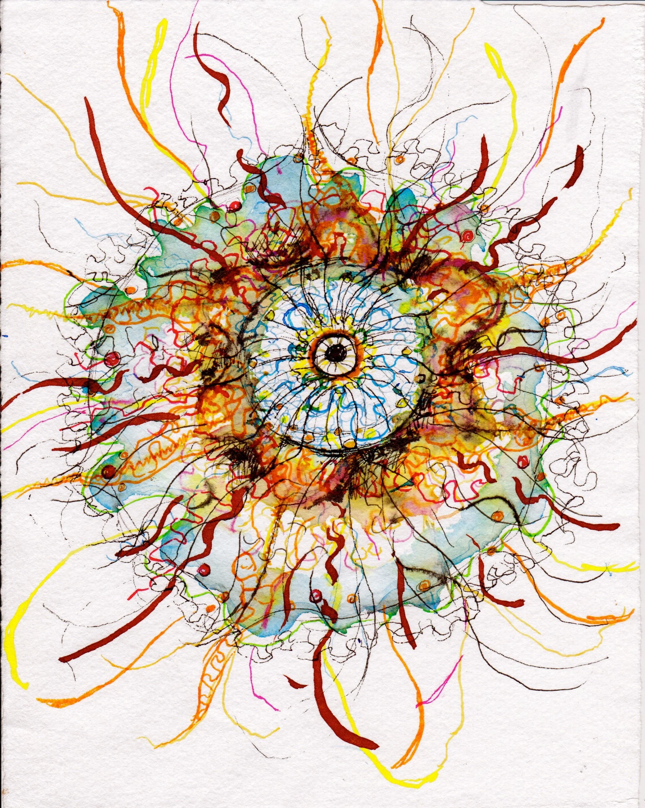 Diatom, giclee print.jpeg