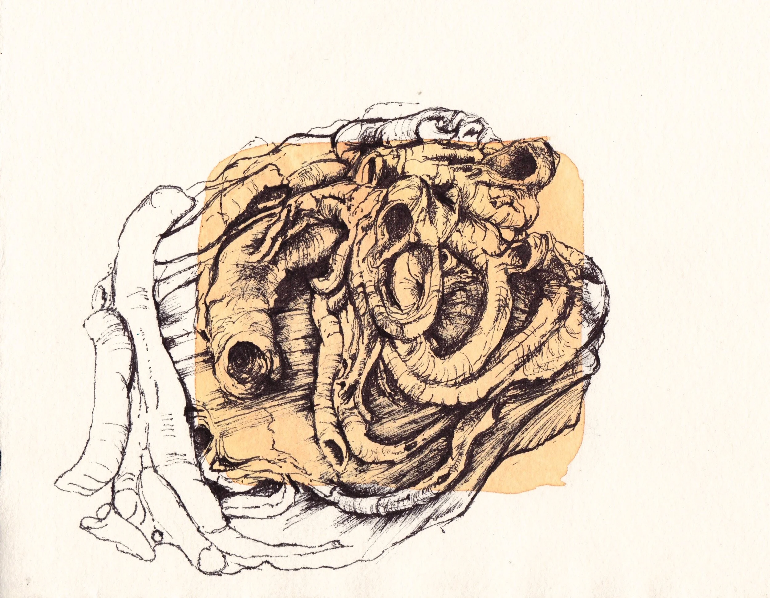 Worm Casts, giclee print.jpeg