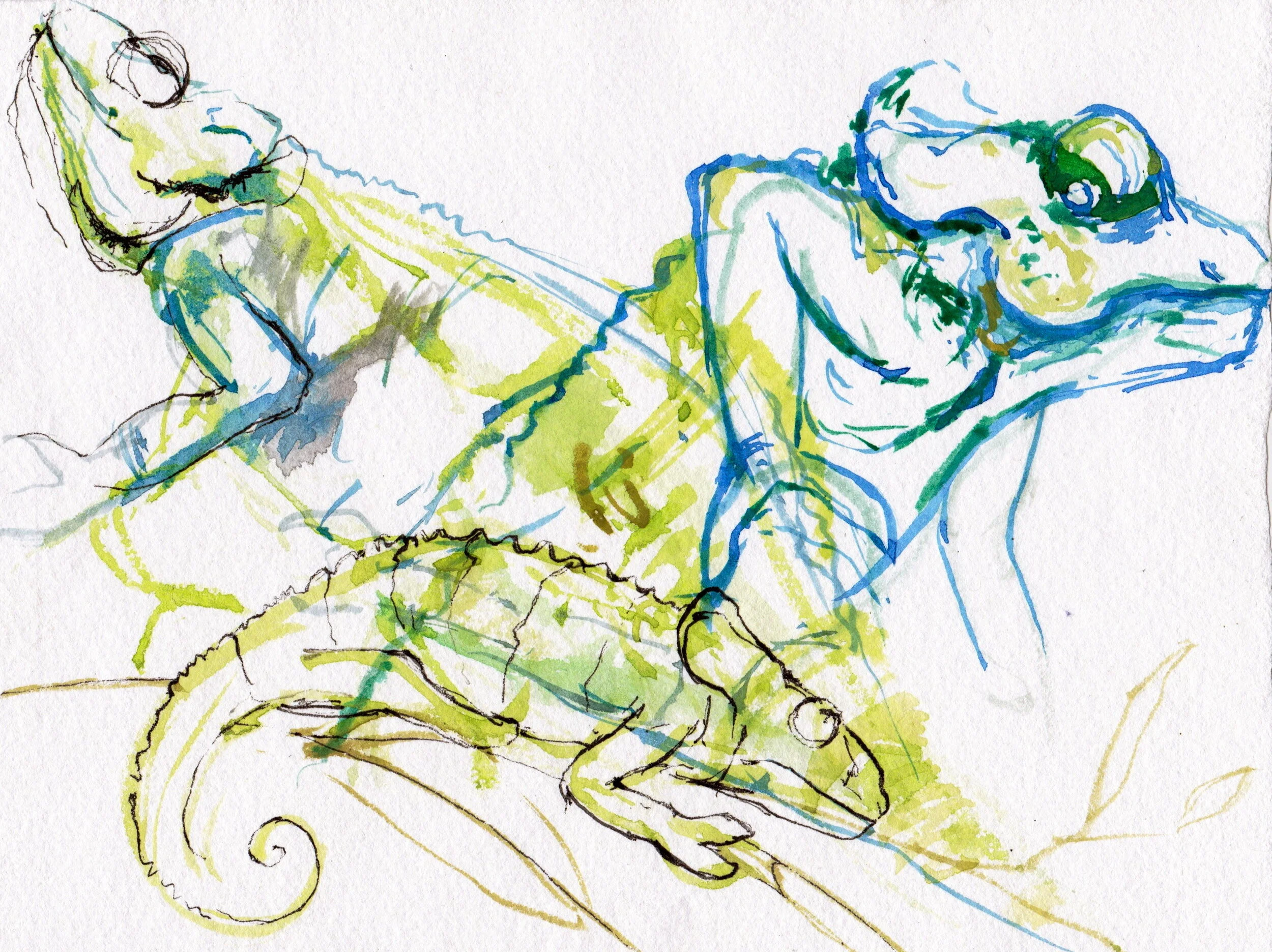 Chameleon, giclee print.jpeg