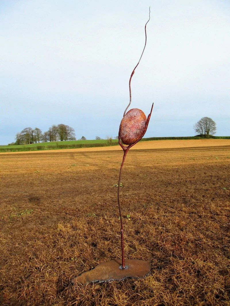 Nestling Cocoon 209 x 64 x 50cms steel and wire.jpeg