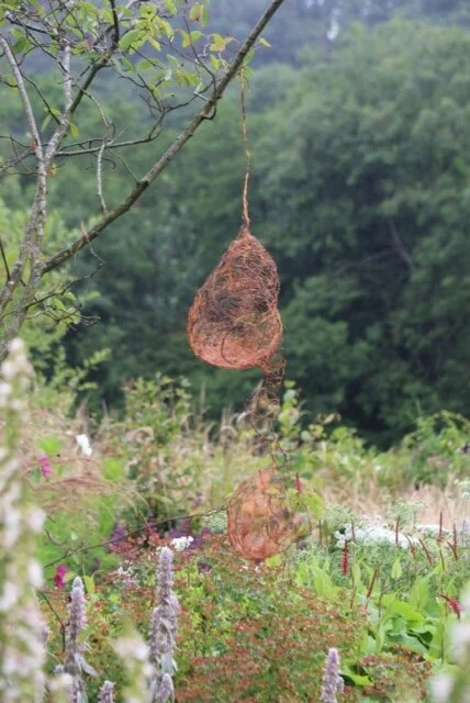 Nest 24x93cm.JPG