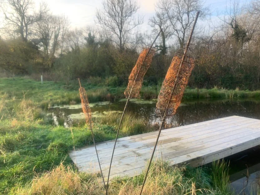 Bulrushes, Al Crossman.JPG