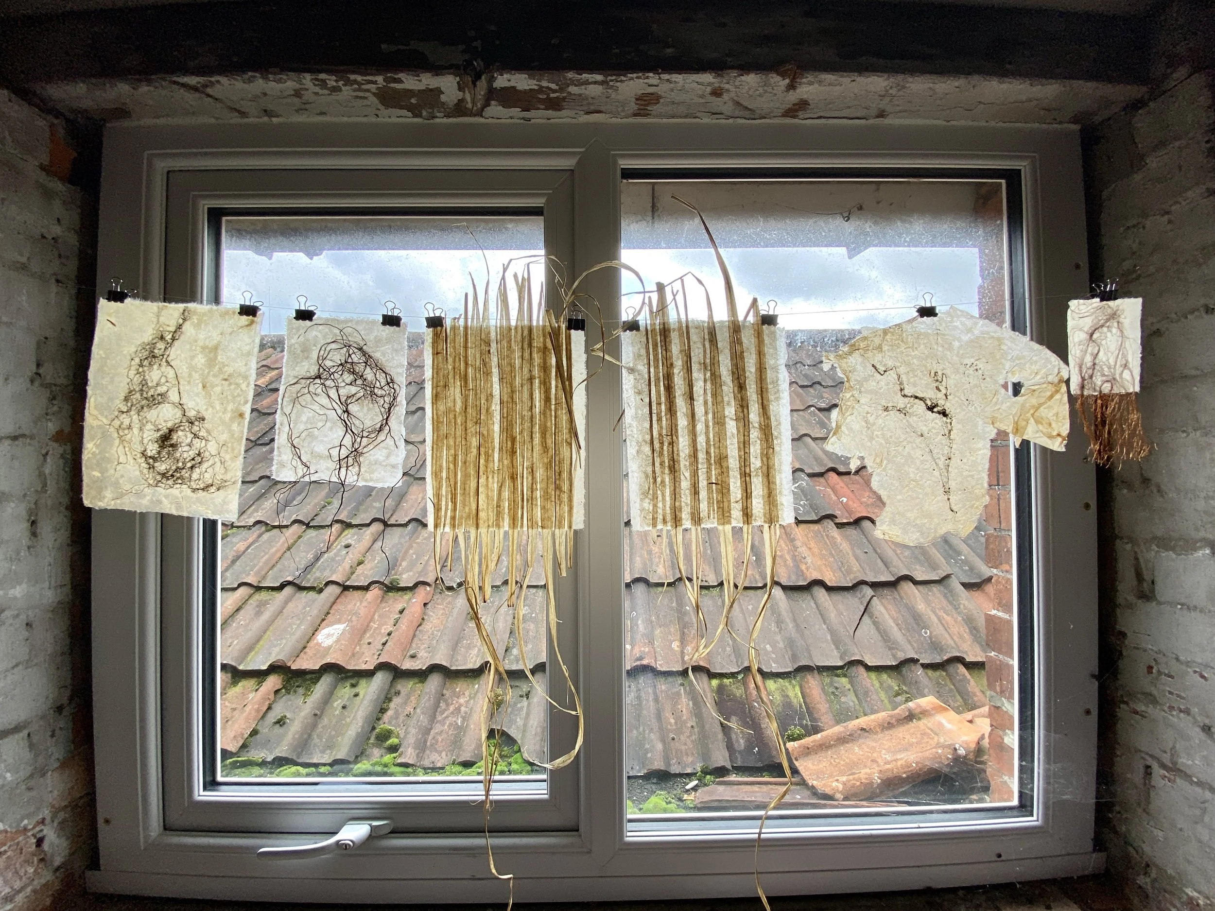 image00001 copy 4.jpeg