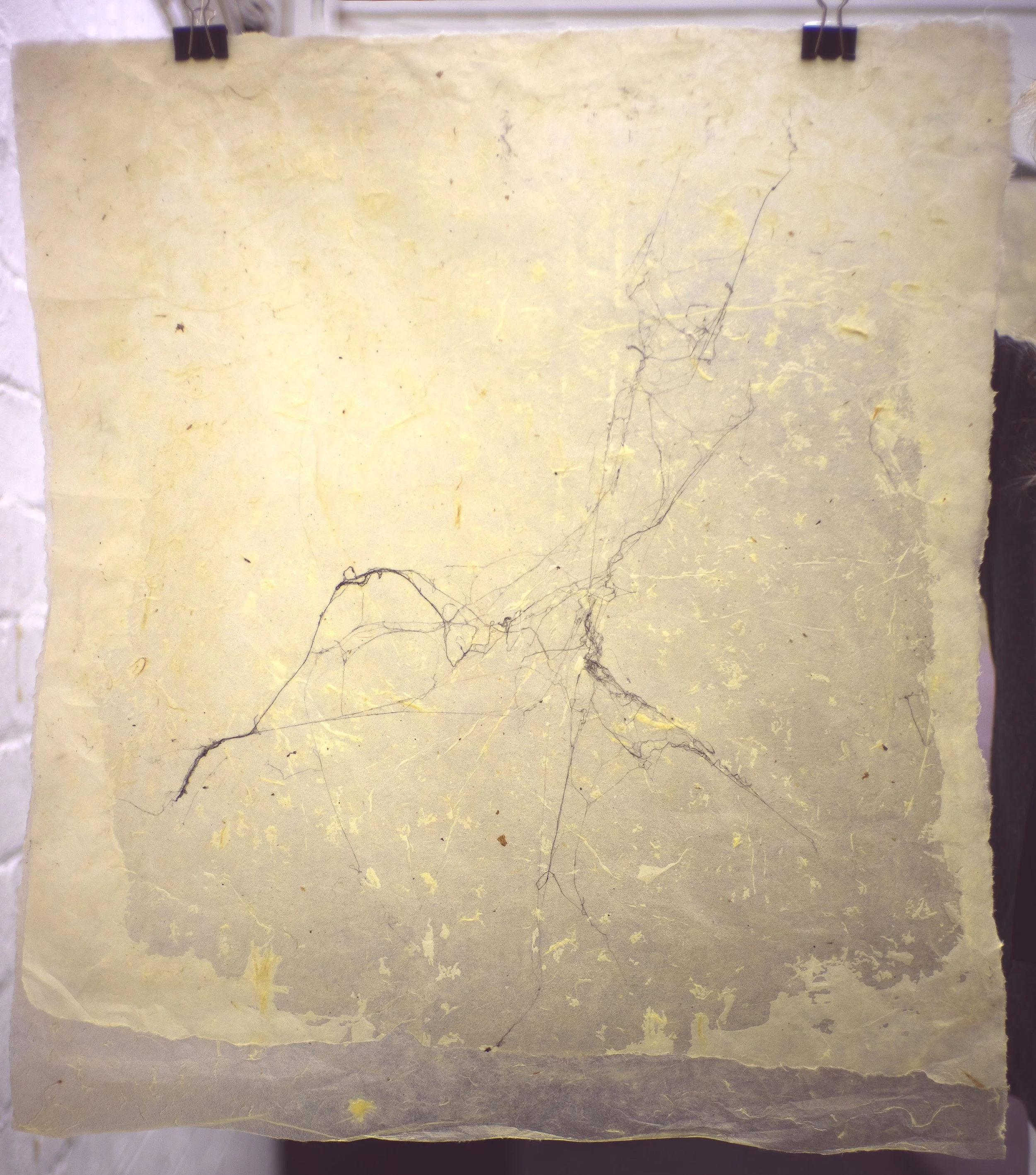 Fiona Campbell.Spiderweb drawing.JPG